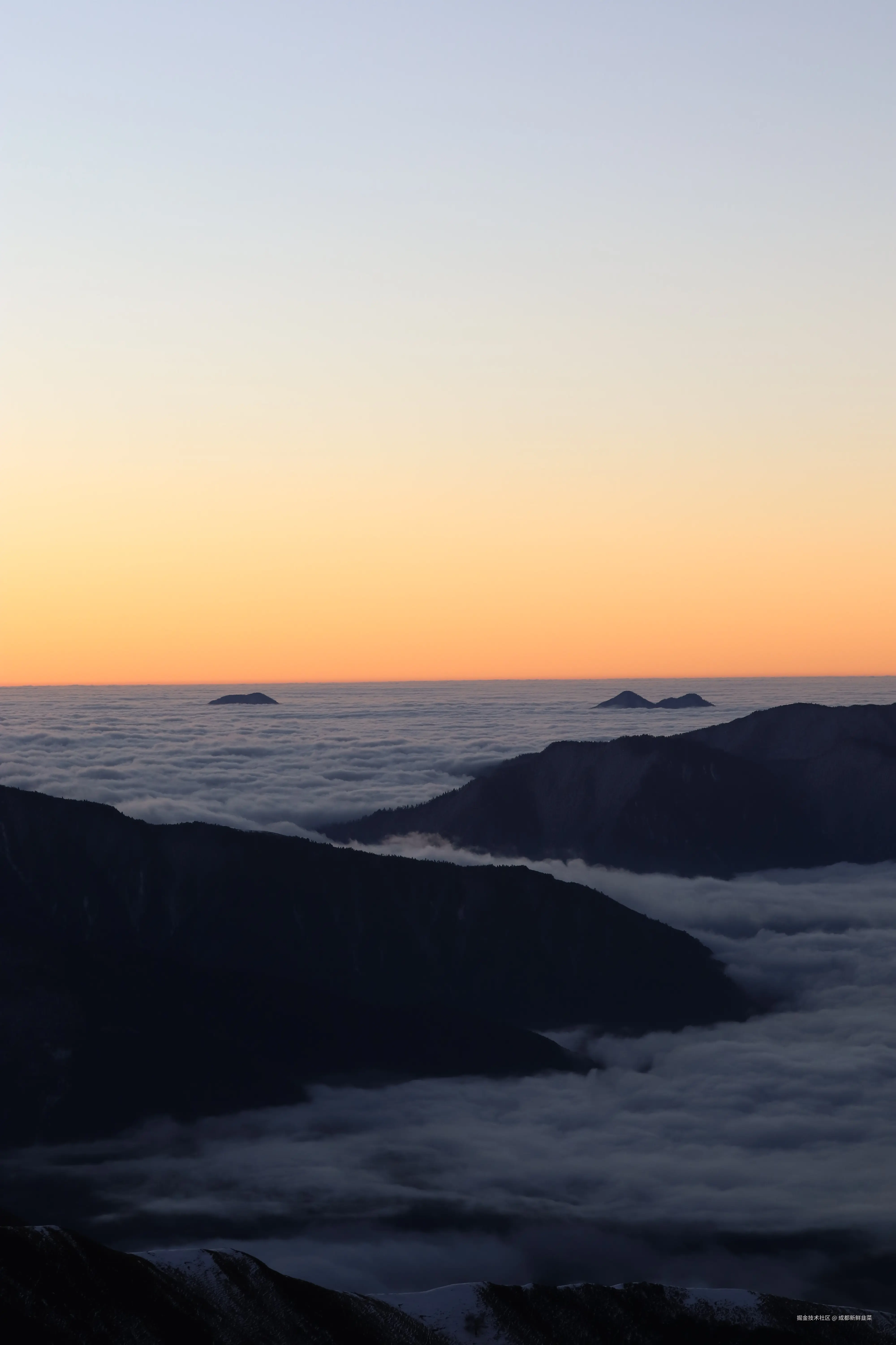 成都新鲜韭菜于2024-12-02 10:02发布的图片