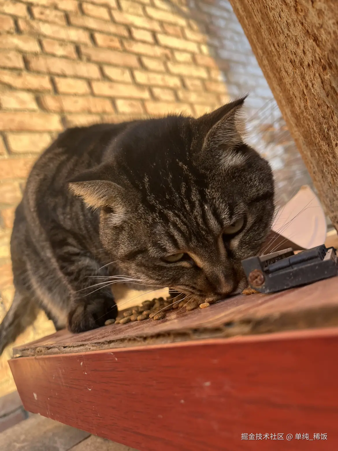 单纯_稀饭于2025-11-25 08:35发布的图片