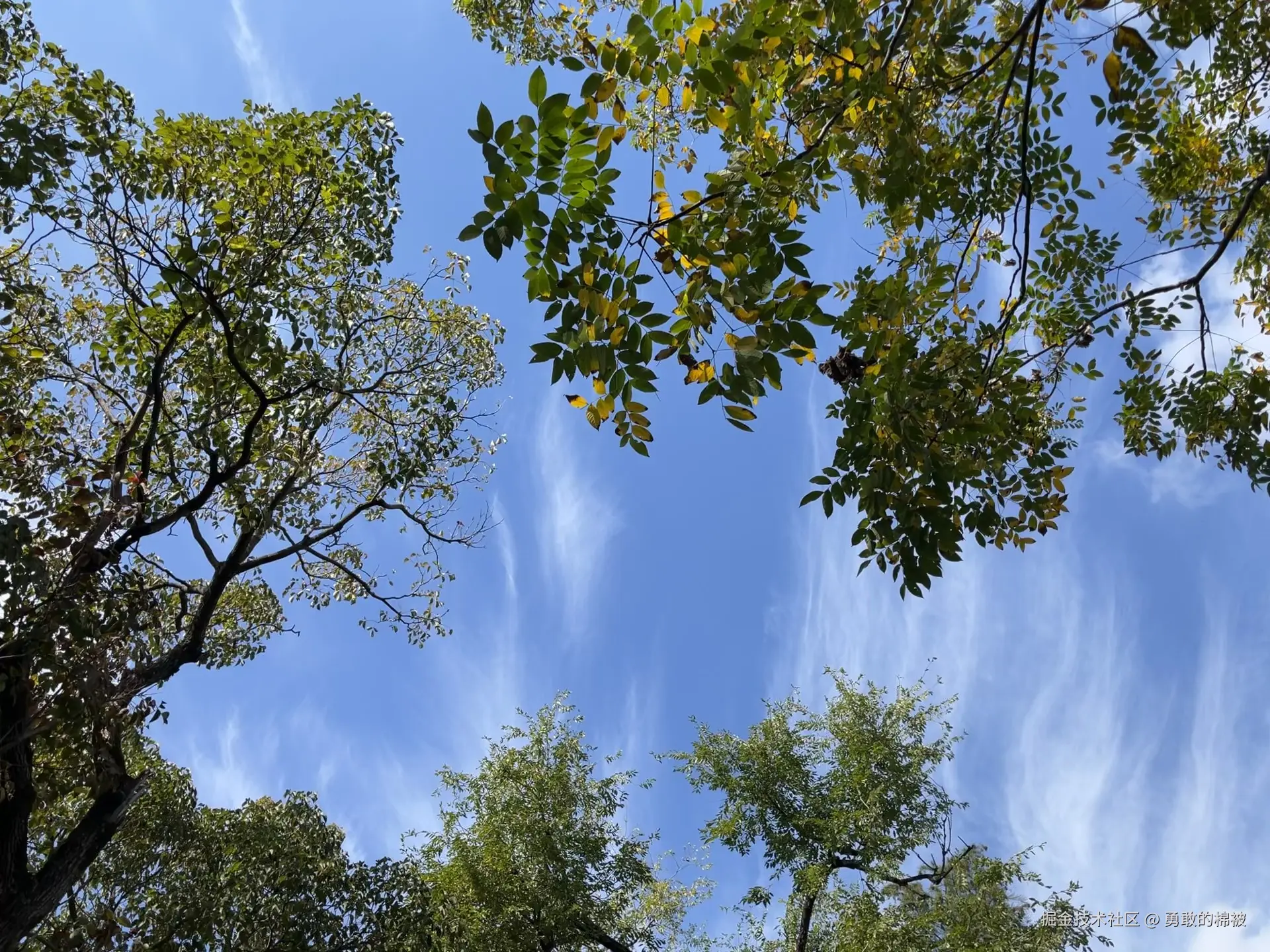 勇敢的棉被于2025-11-17 10:47发布的图片