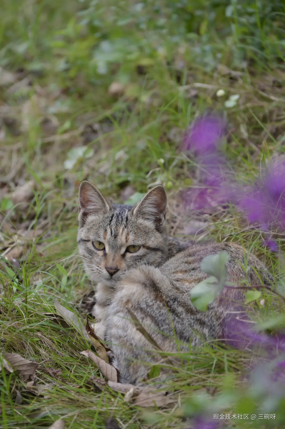 三碗呀于2025-11-26 09:35发布的图片