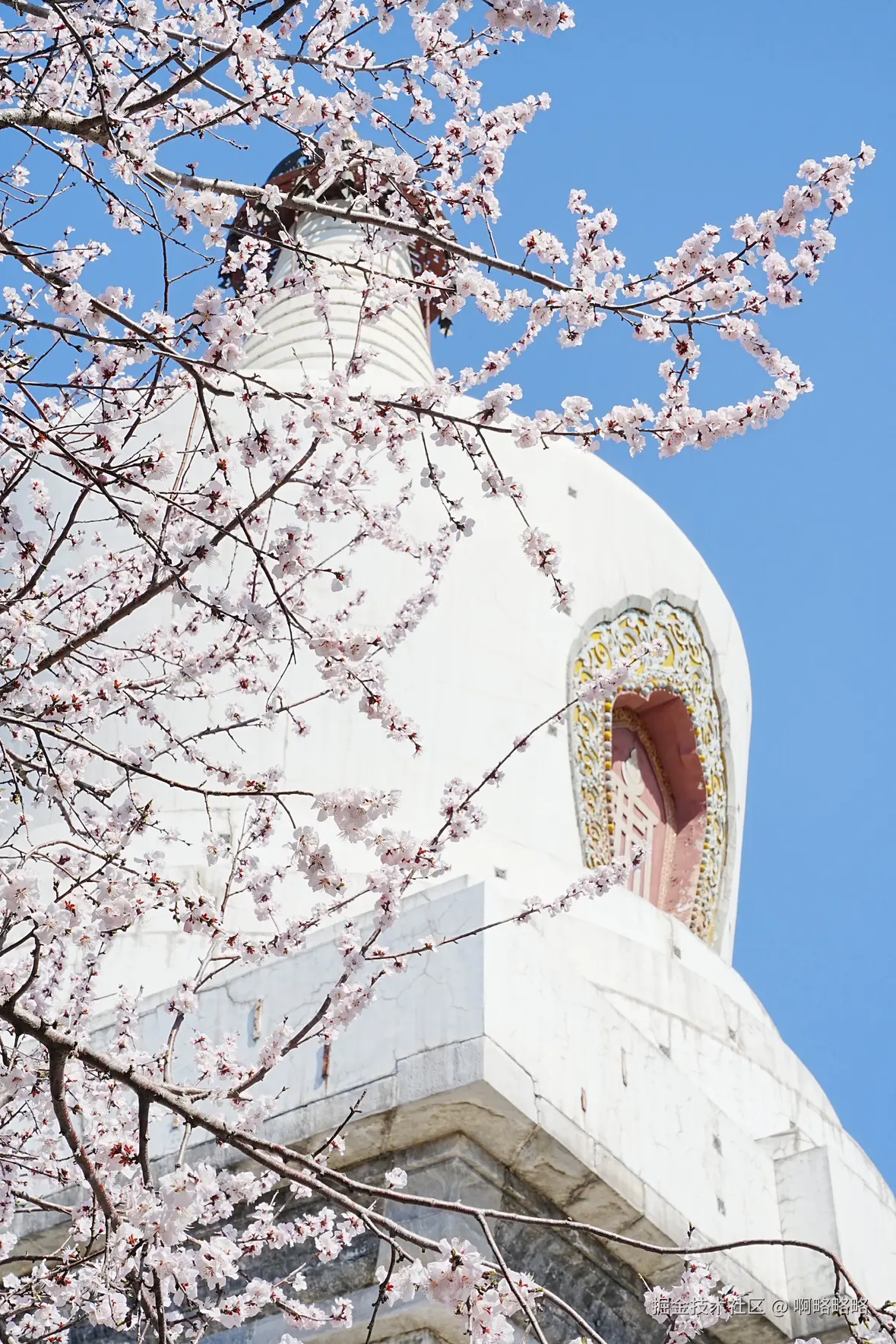 啊略略略于2025-03-17 10:14发布的图片