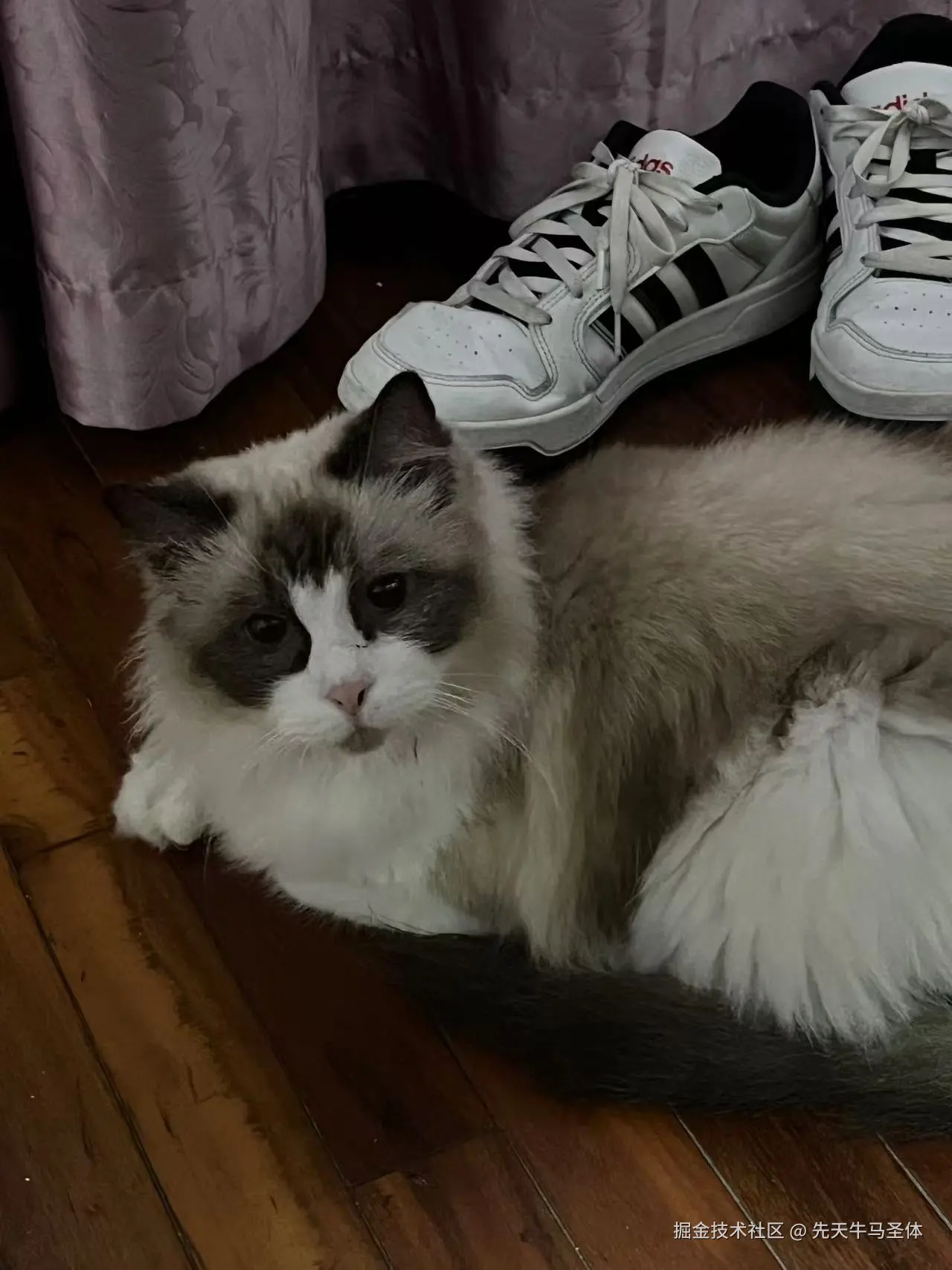 先天牛马圣体于2024-10-29 12:34发布的图片