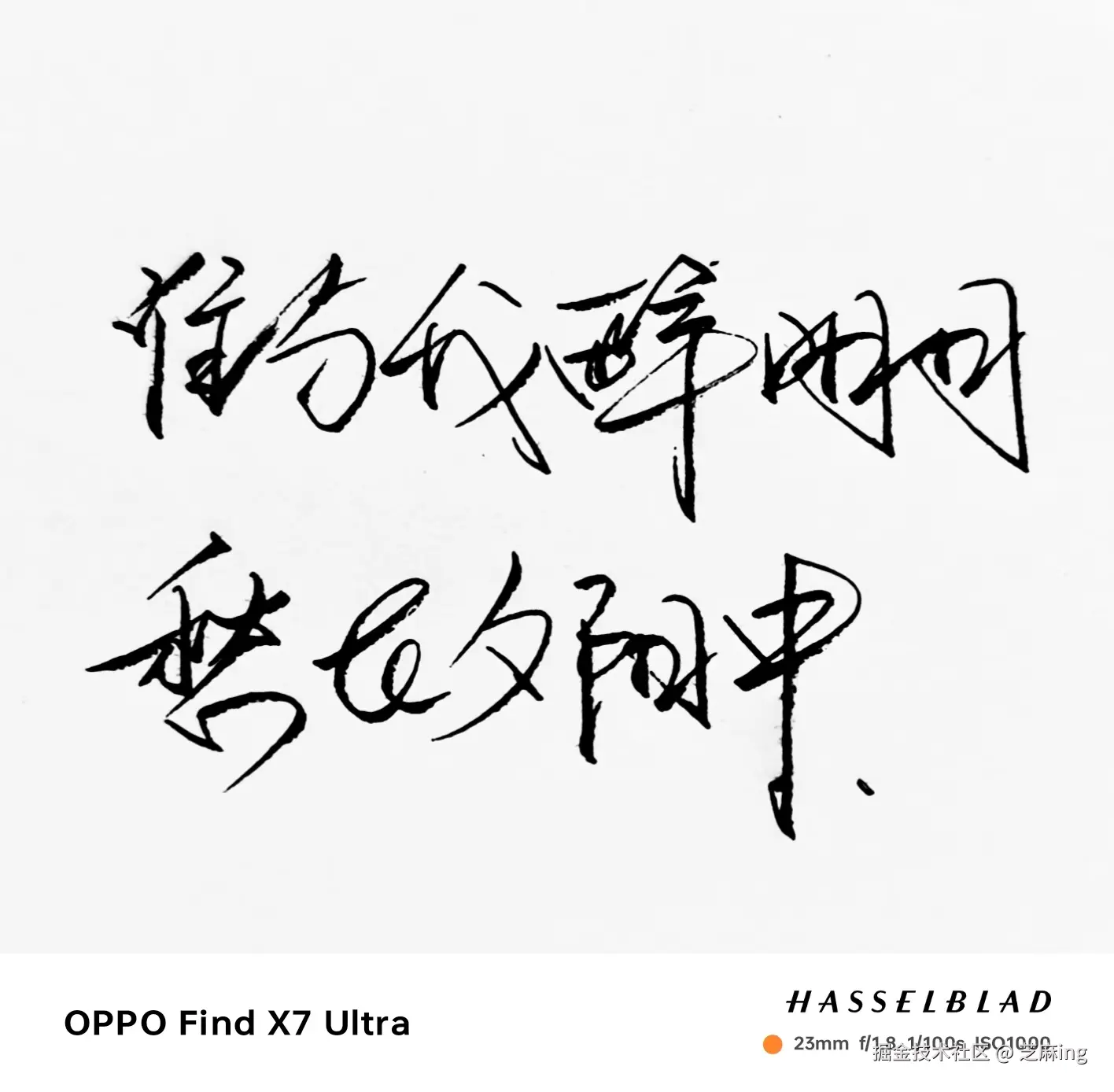 芝麻ing于2024-08-24 09:07发布的图片