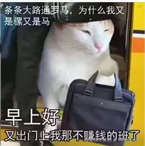 熊猫片沃子于2024-07-29 10:46发布的图片