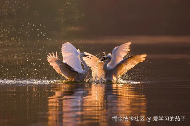 剑指大厂：前端面试通关之路