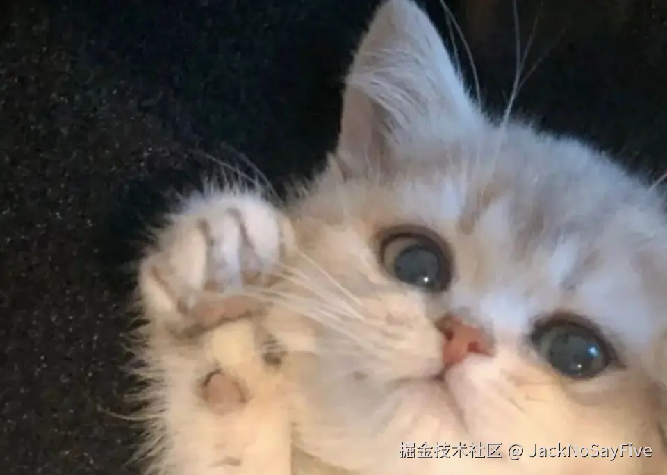 JackNoSayFive于2024-07-18 06:42发布的图片