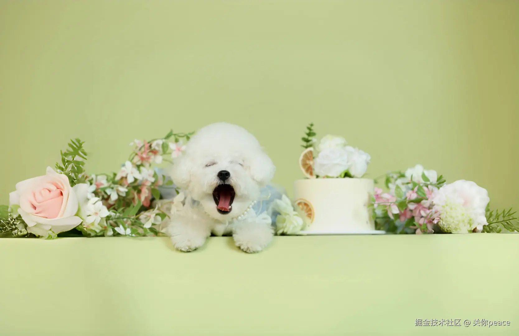 关你peace于2024-10-14 15:59发布的图片