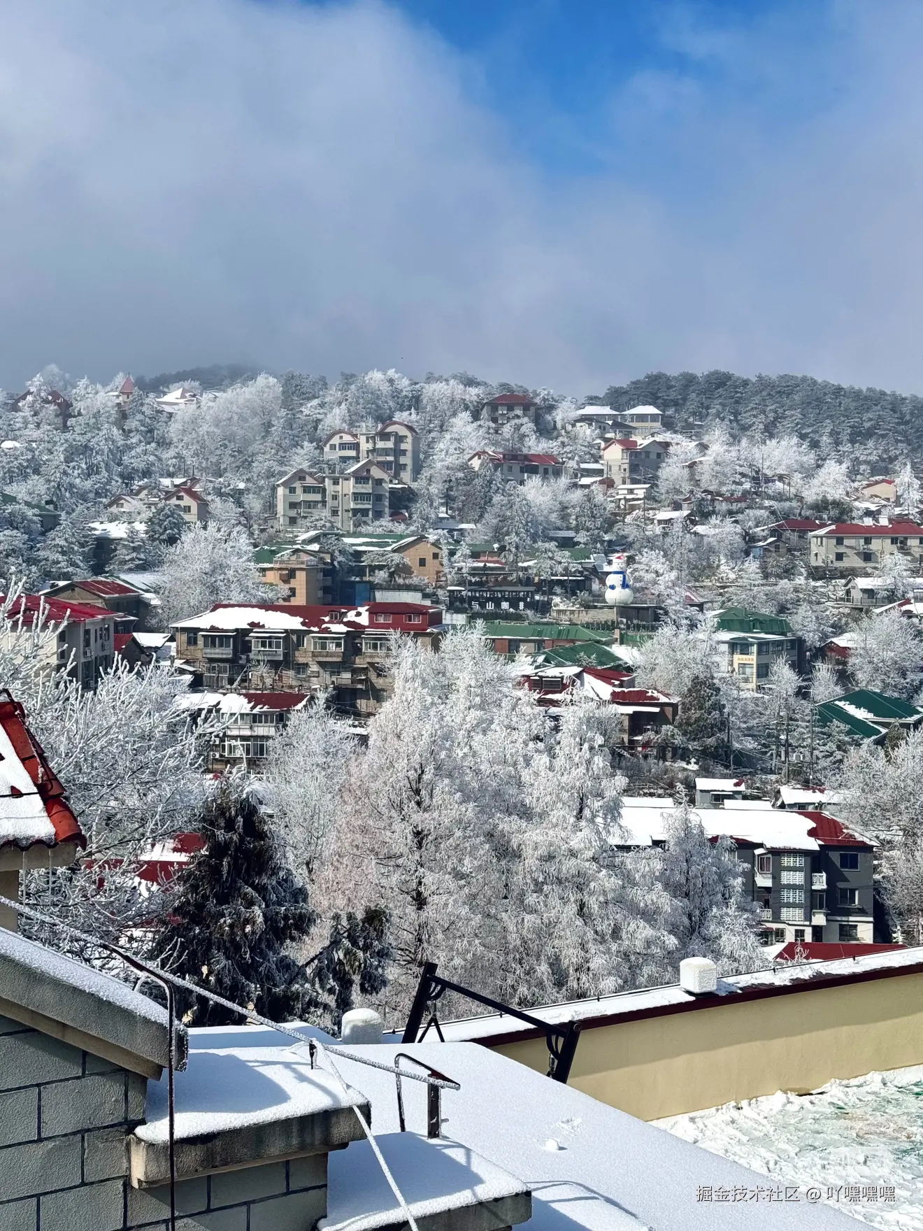 吖嘿嘿嘿于2026-01-21 12:18发布的图片