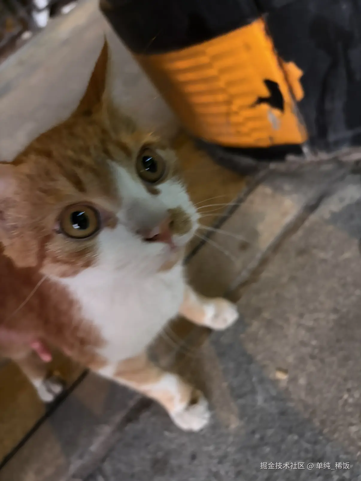 单纯_稀饭于2026-08-17 00:06发布的图片