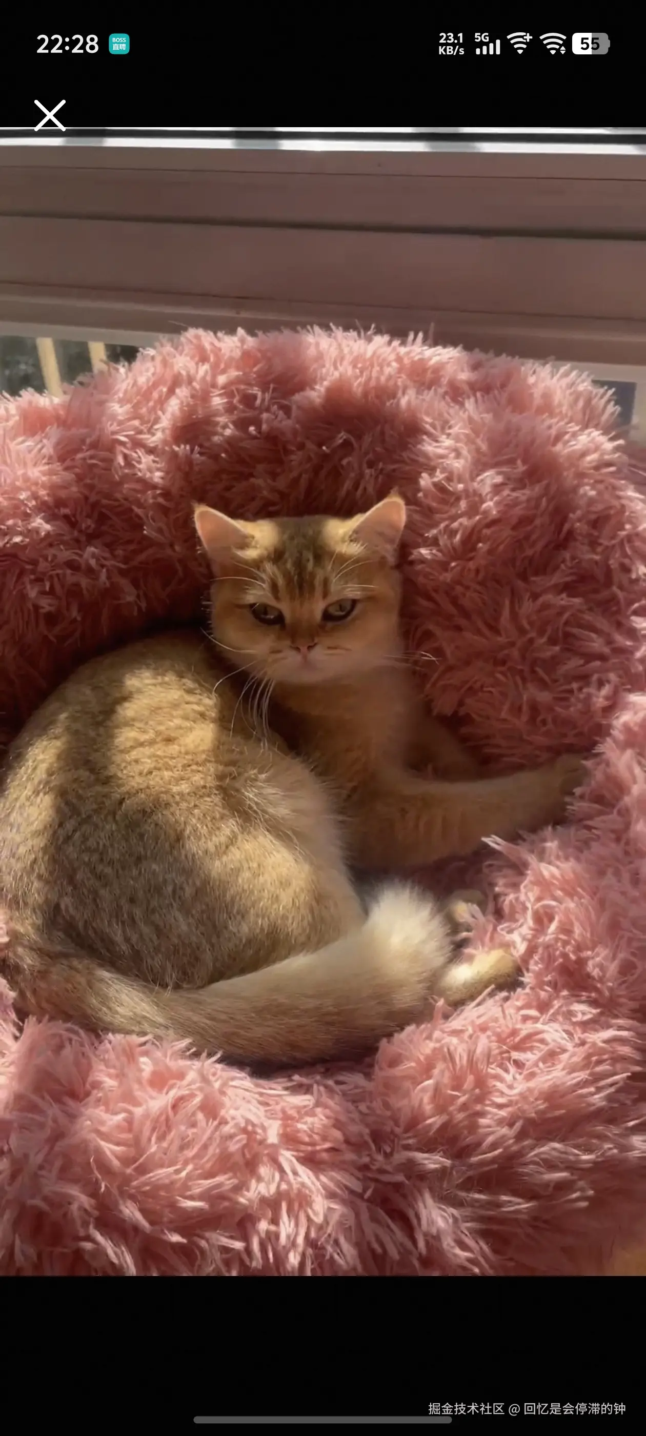 回忆是会停滞的钟于2025-11-24 09:21发布的图片