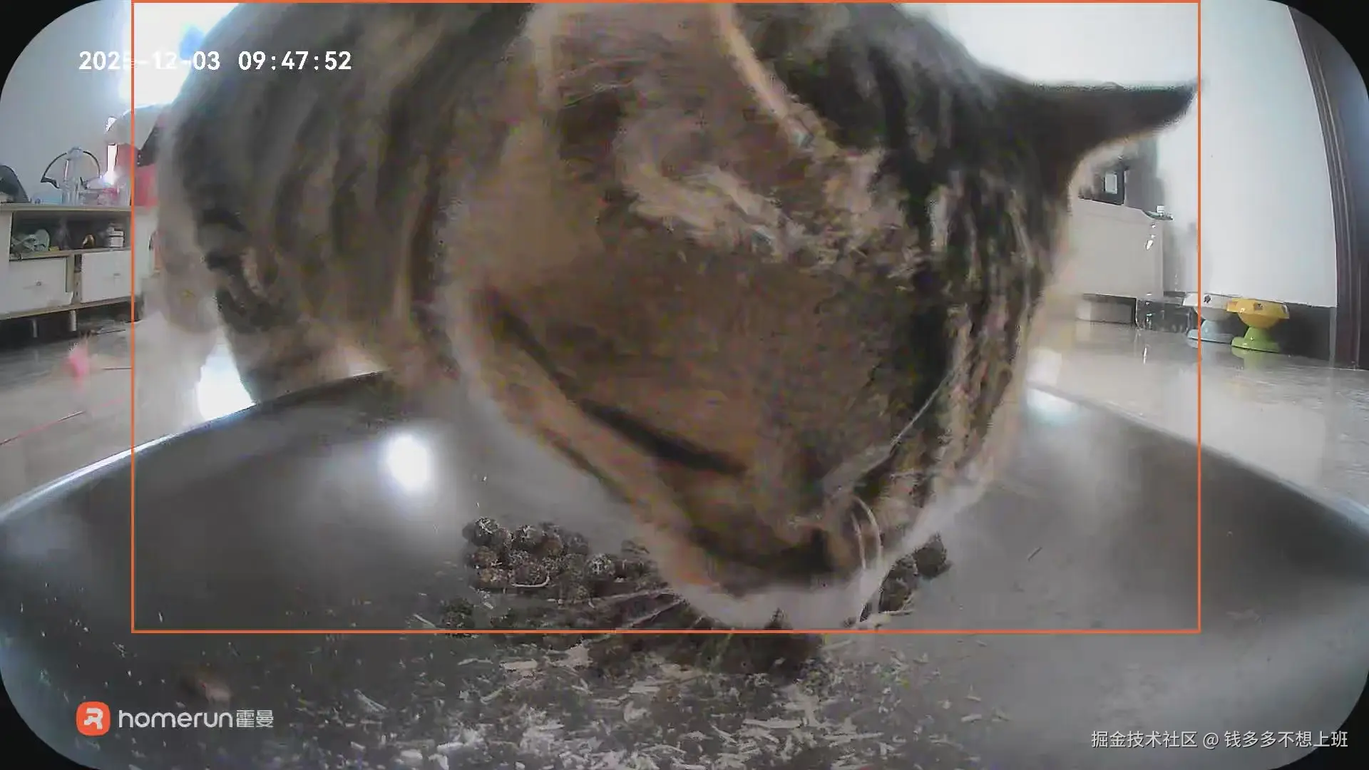 钱多多不想上班于2025-12-03 10:14发布的图片