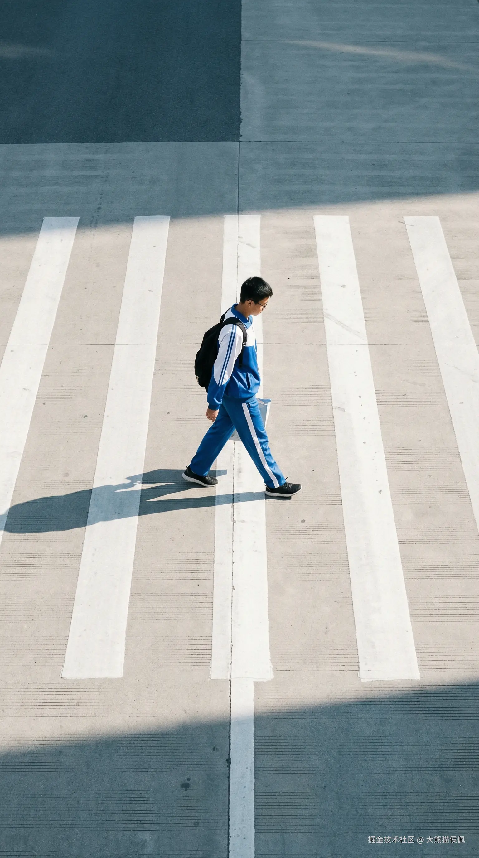 大熊猫侯佩于2025-12-20 22:38发布的图片