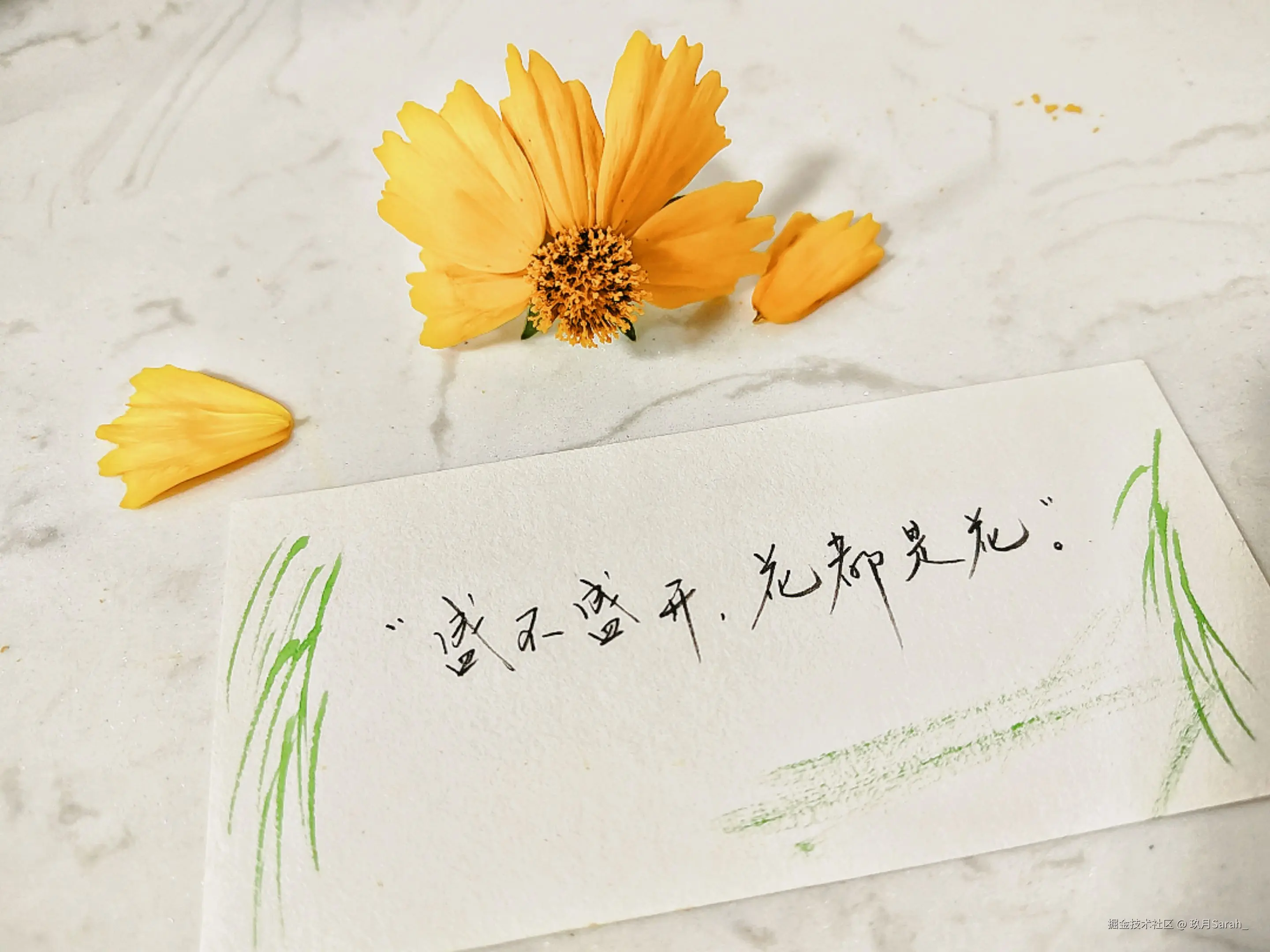 玖月Sarah_于2025-05-28 08:33发布的图片