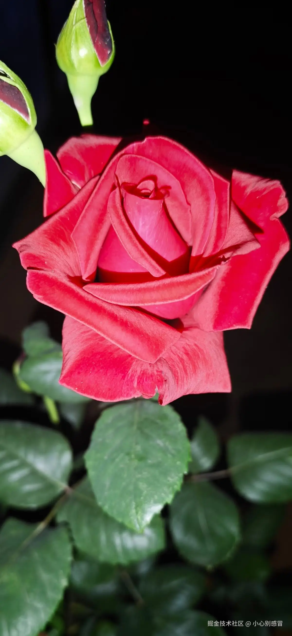 小心别感冒于2026-04-10 09:02发布的图片