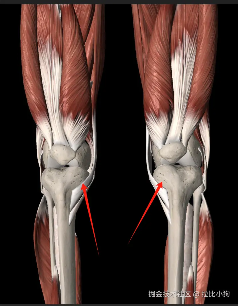 拉比小狗于2025-05-15 09:35发布的图片