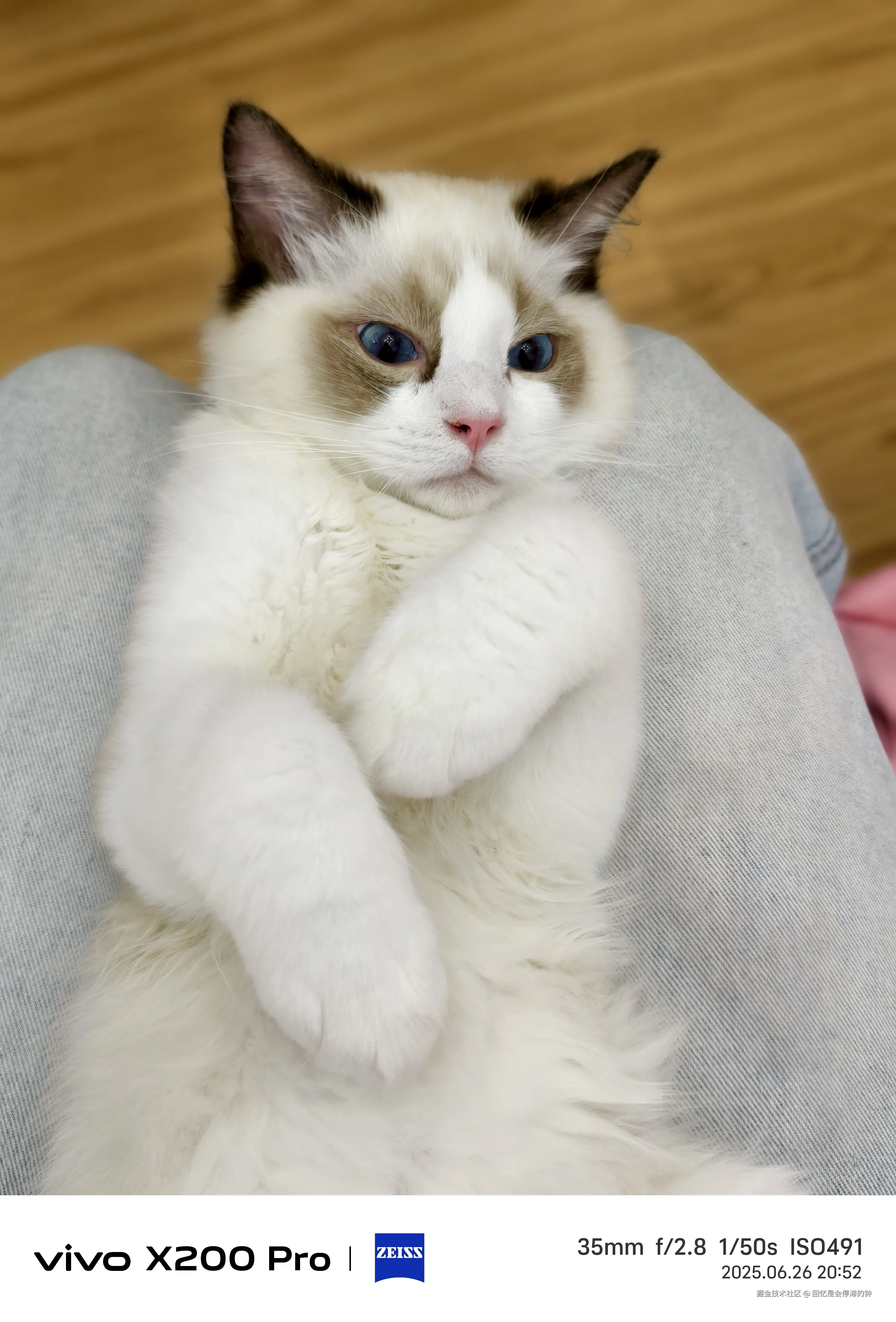 回忆是会停滞的钟于2025-07-31 16:00发布的图片