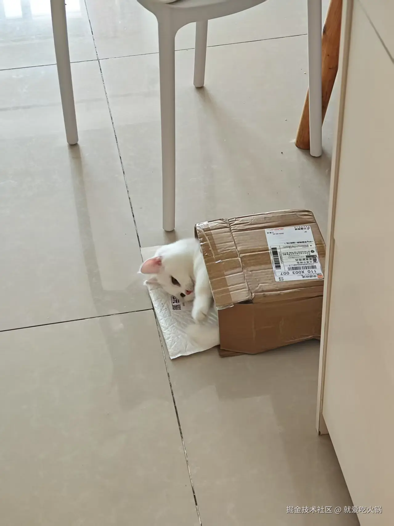 就爱吃火锅于2025-04-27 09:39发布的图片