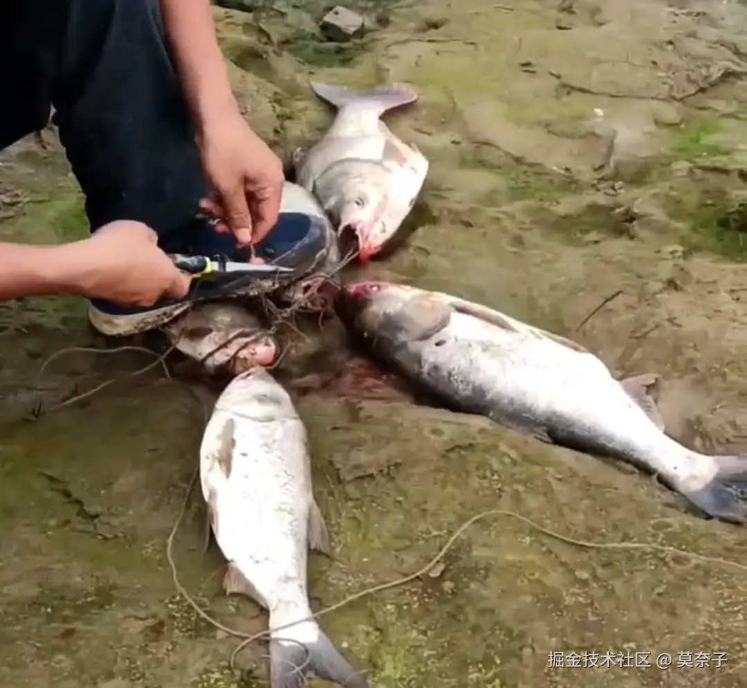 莫奈子于2025-04-08 21:11发布的图片