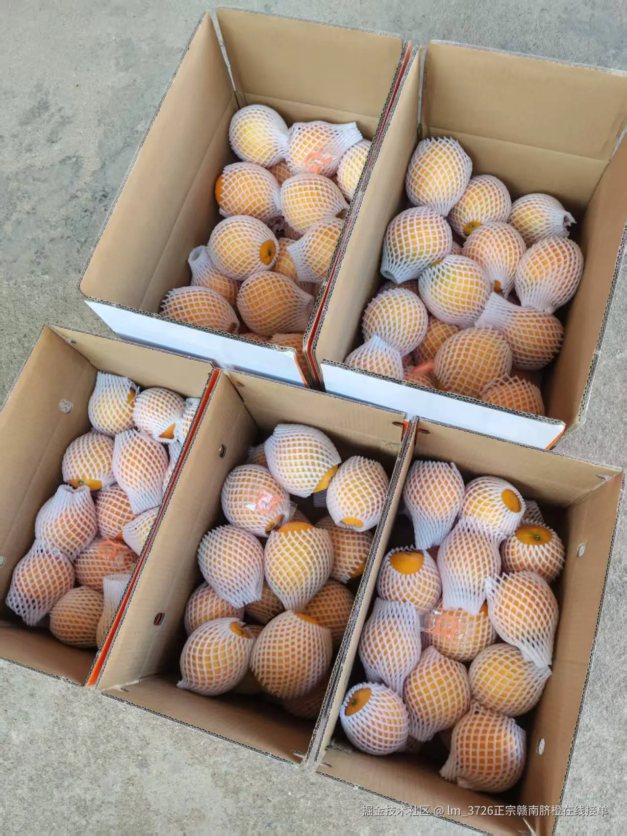 lm_3726正宗赣南脐橙在线接单于2025-11-25 10:58发布的图片