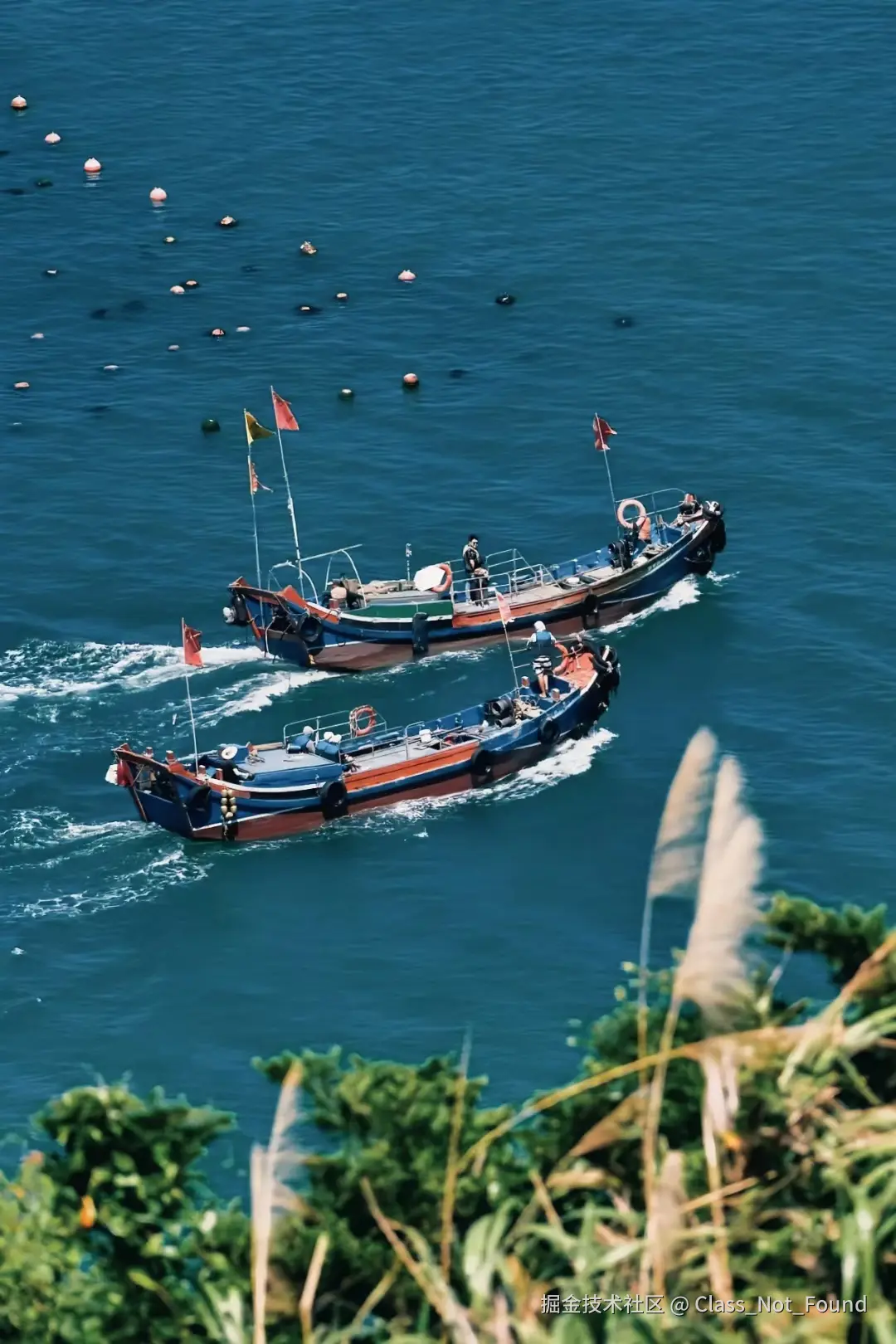 Class_Not_Found于2024-08-09 09:38发布的图片