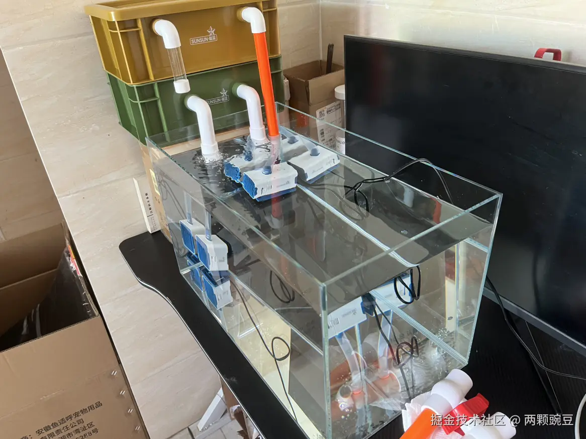 两颗豌豆于2025-06-06 09:08发布的图片