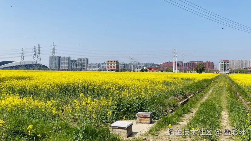 墨彩环于2025-03-20 23:09发布的图片