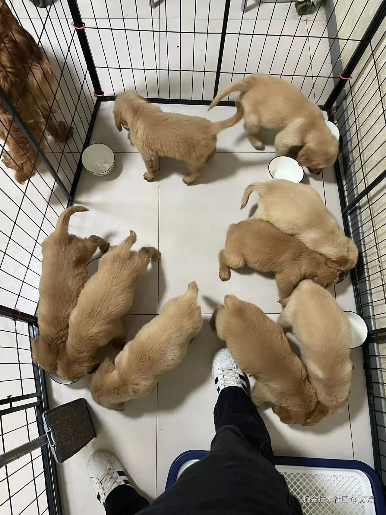 苏煜于2024-08-05 11:46发布的图片