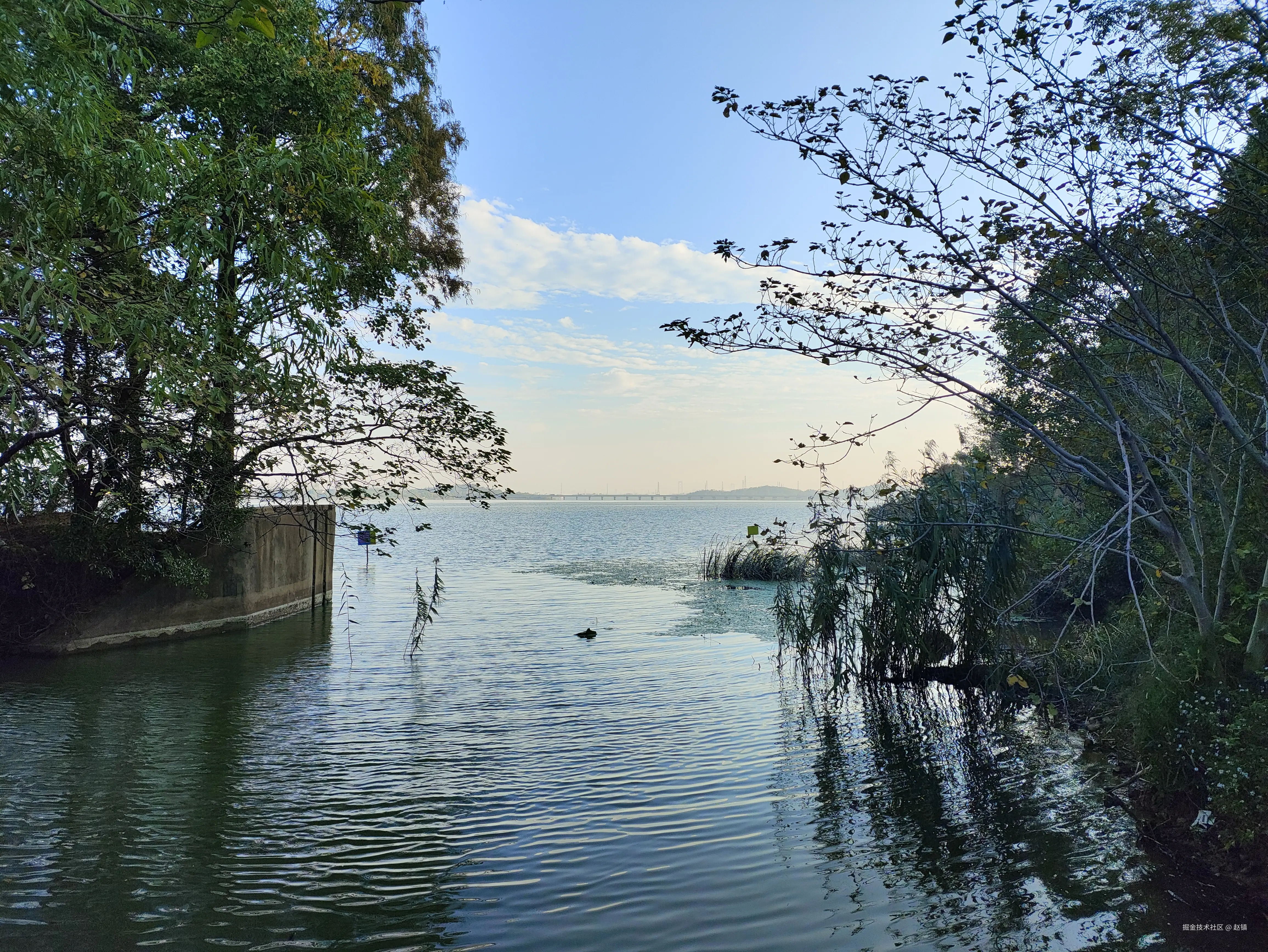 赵镇于2024-10-25 10:03发布的图片