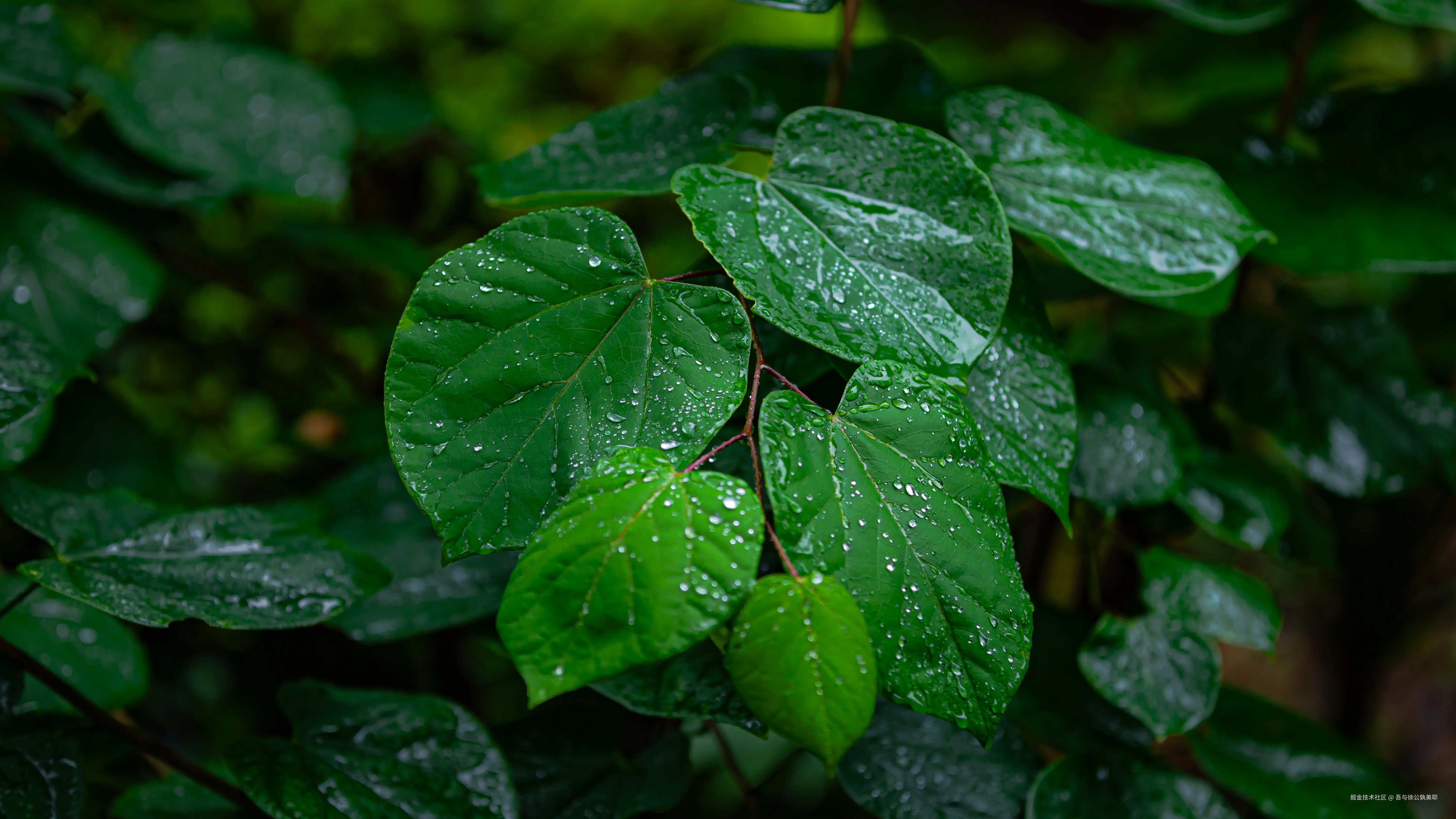 吾与徐公孰美耶于2025-06-13 10:05发布的图片