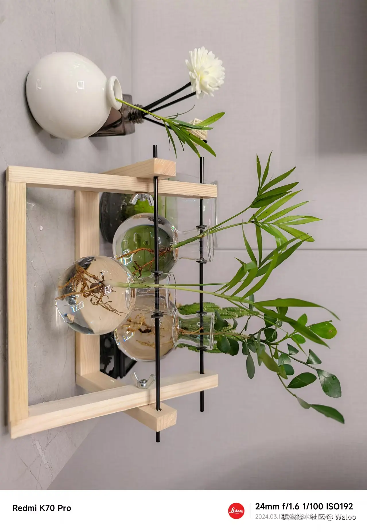 Waloo于2024-08-12 20:28发布的图片