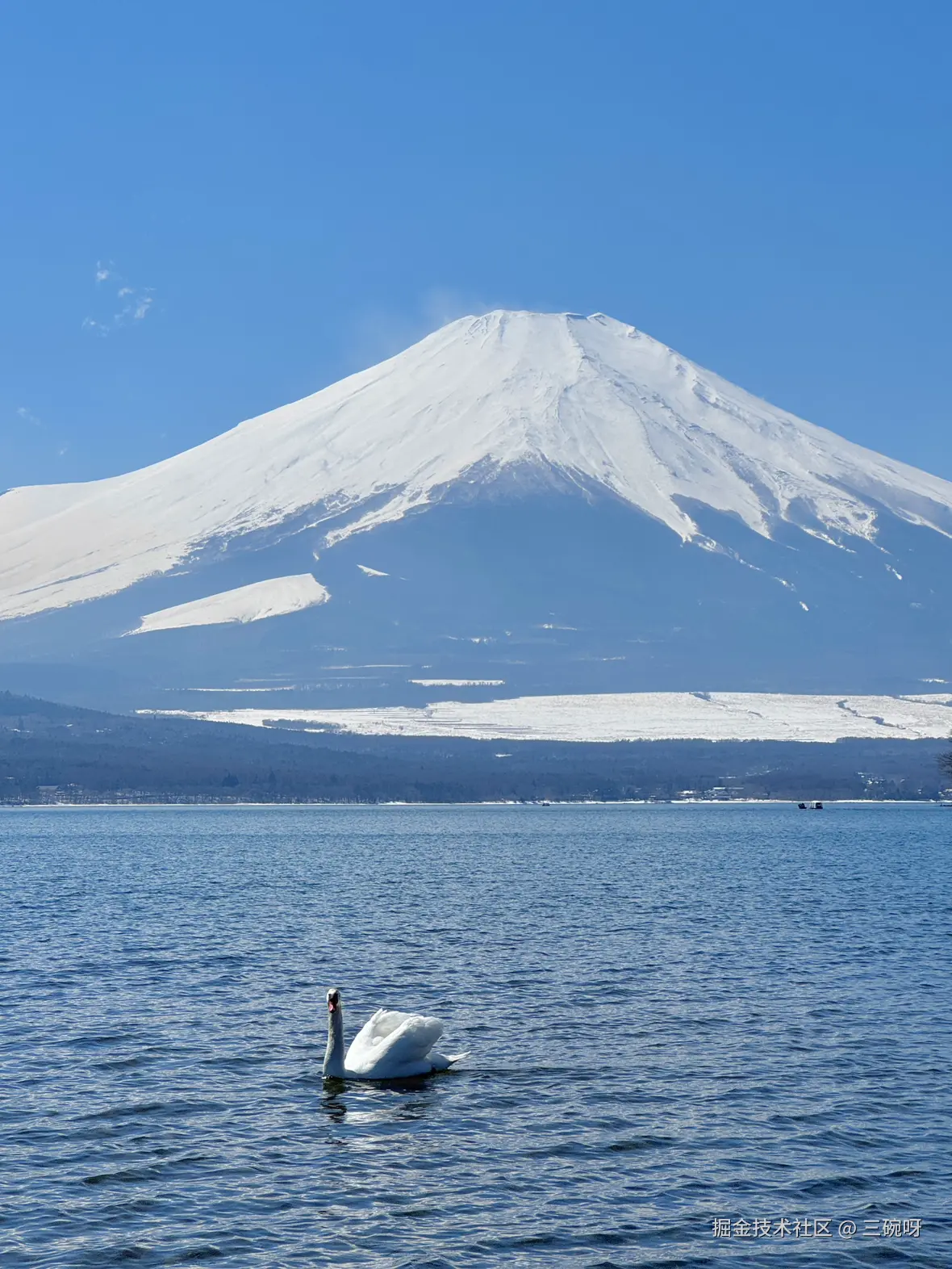 三碗呀于2025-03-26 14:33发布的图片