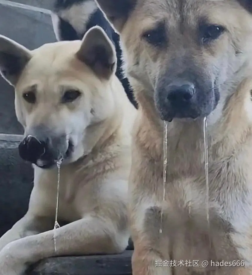 hades666于2024-07-19 14:58发布的图片