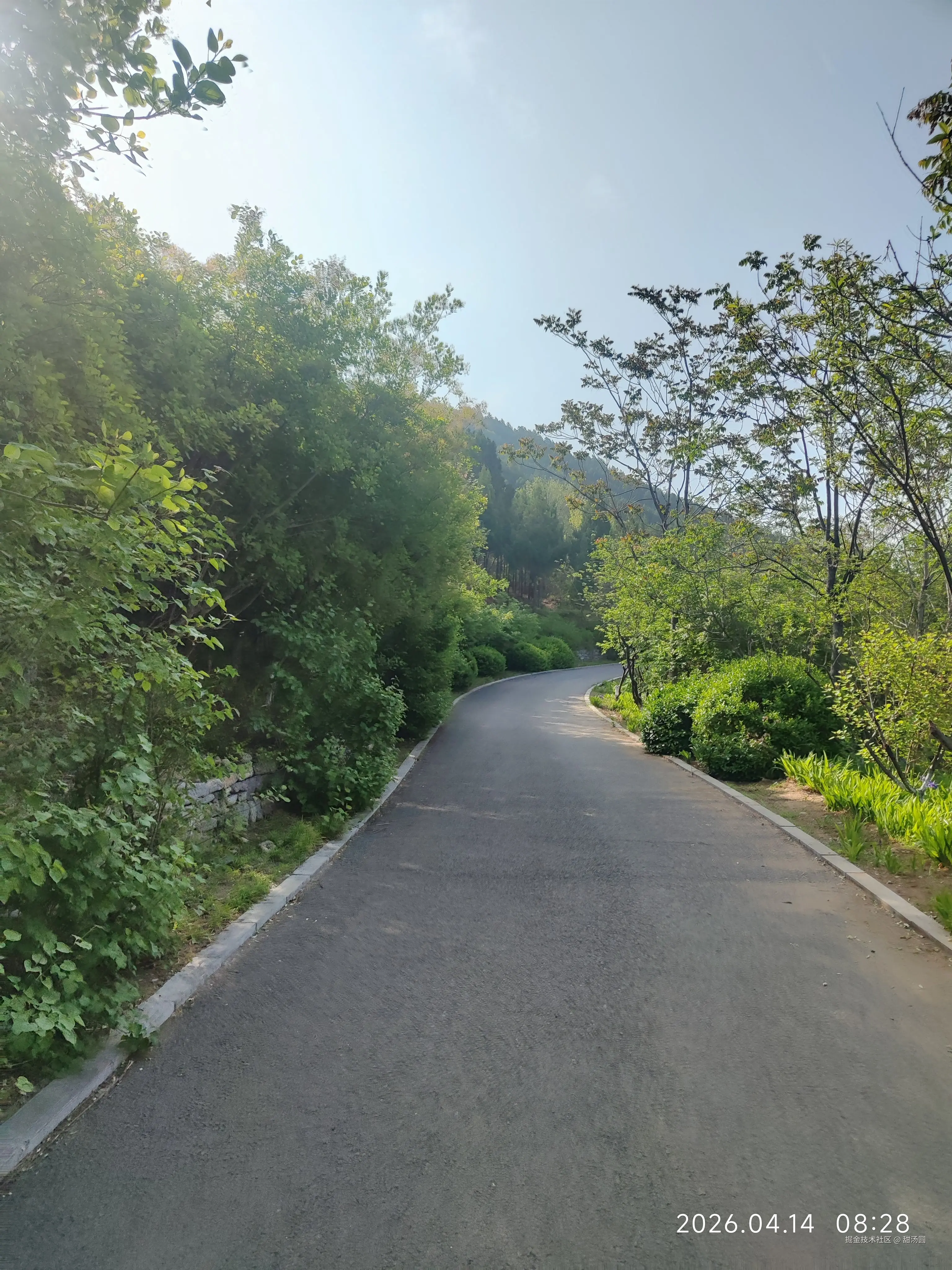 甜汤圆于2026-04-14 08:46发布的图片