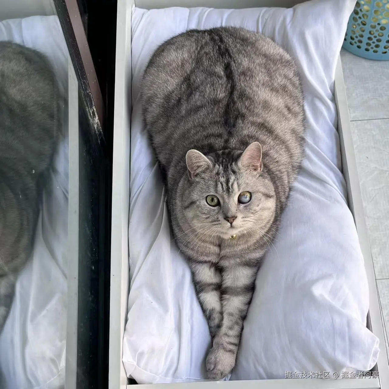 掘金者阿豪于2026-01-28 12:48发布的图片