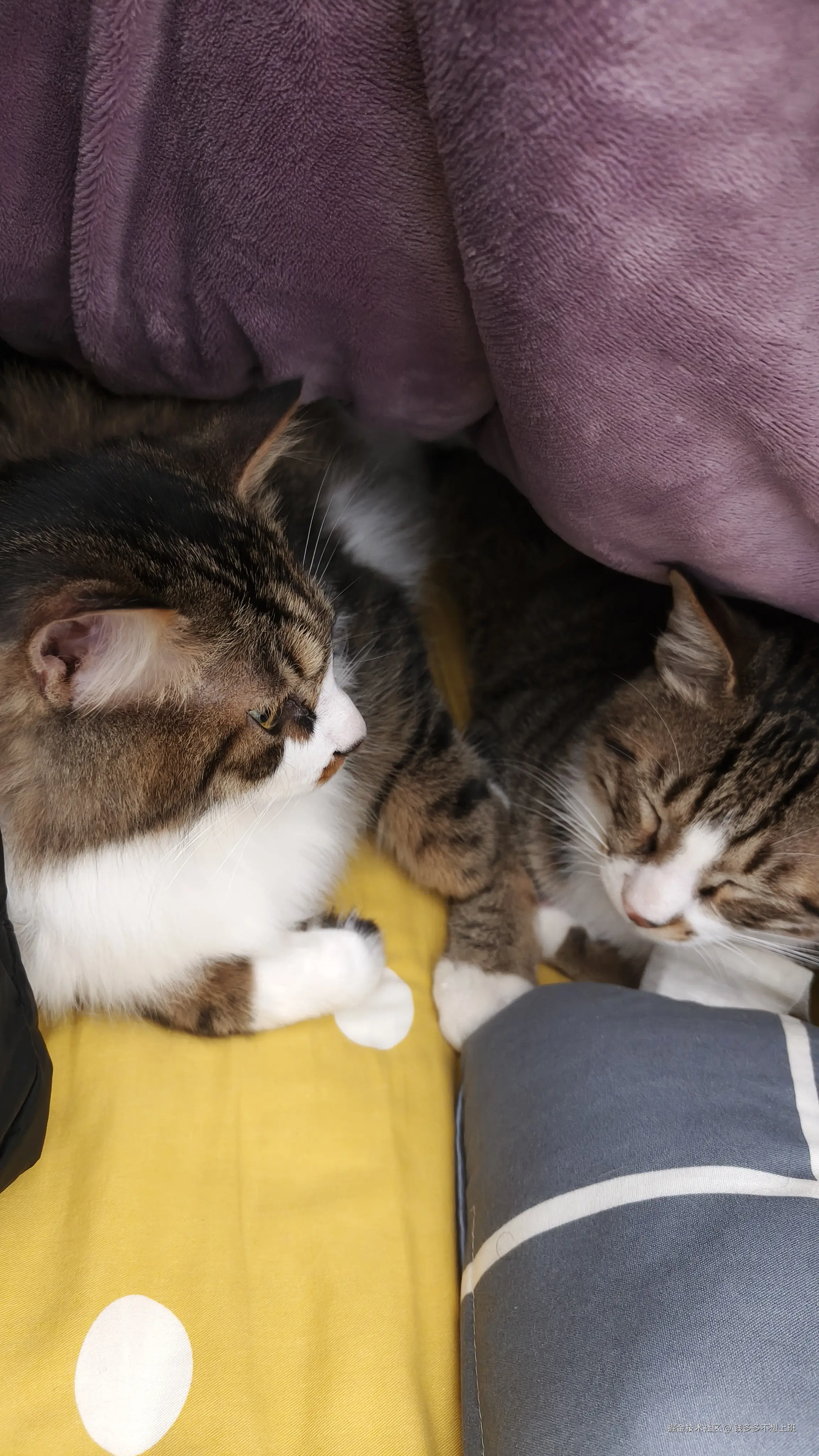 钱多多不想上班于2026-01-26 01:13发布的图片