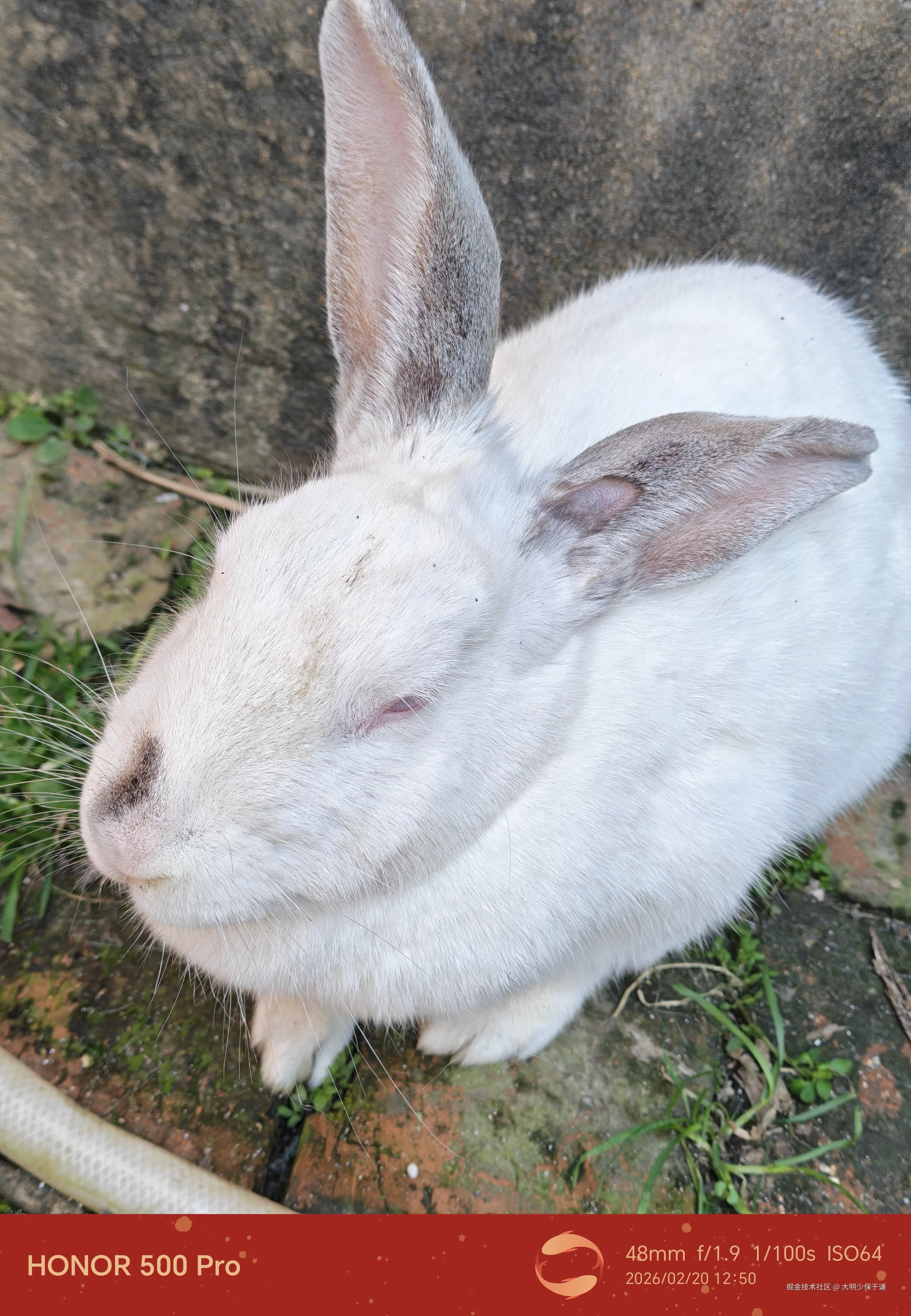 大明少保于谦于2026-02-25 16:39发布的图片