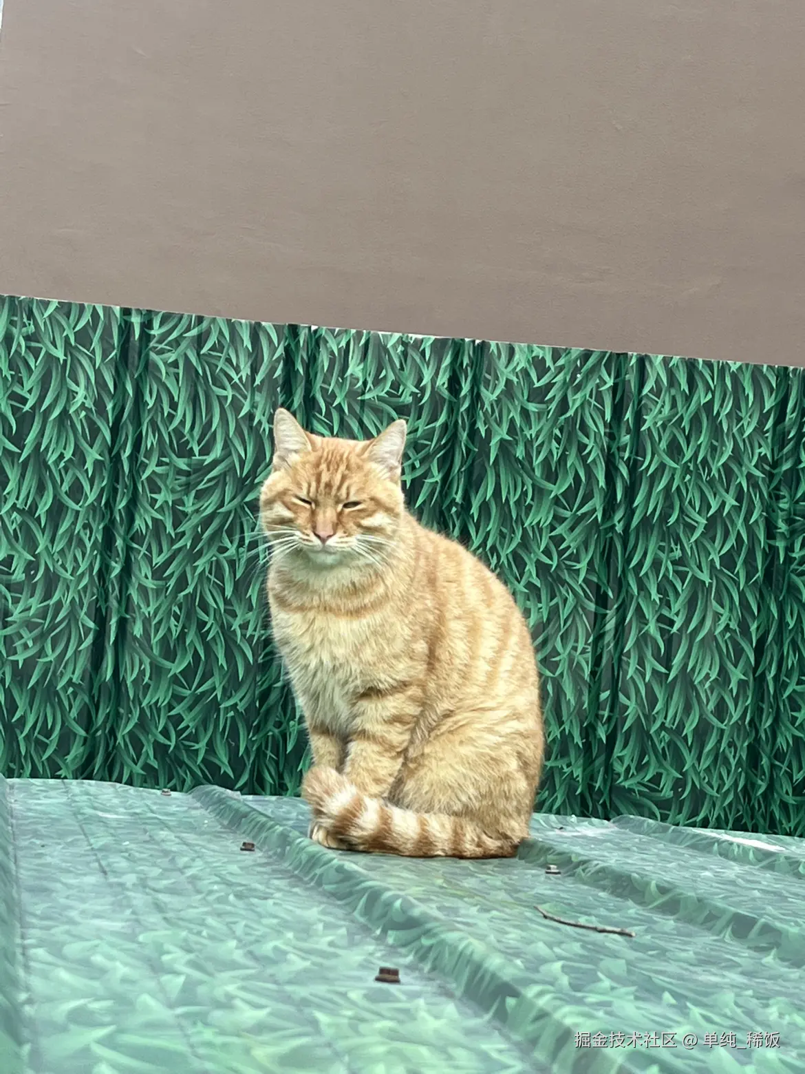 单纯_稀饭于2025-10-13 17:51发布的图片