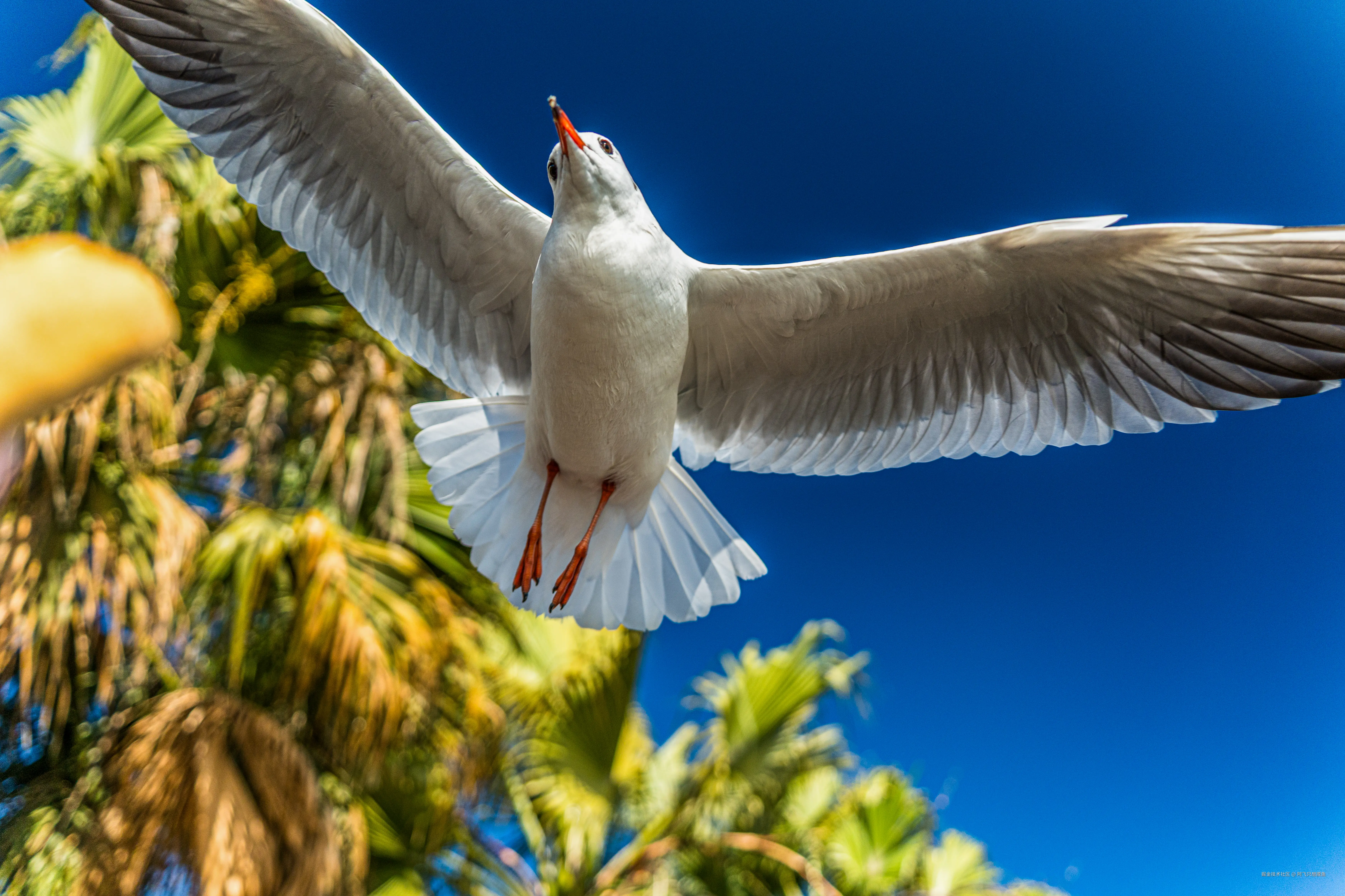 阿飞只想摸鱼于2026-02-11 14:37发布的图片
