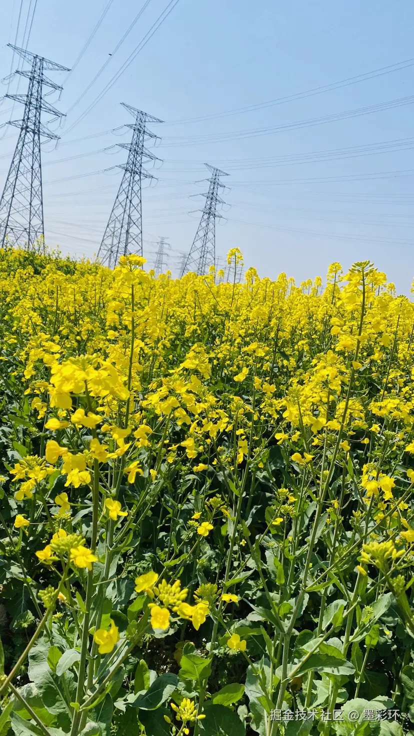 墨彩环于2025-03-20 23:09发布的图片