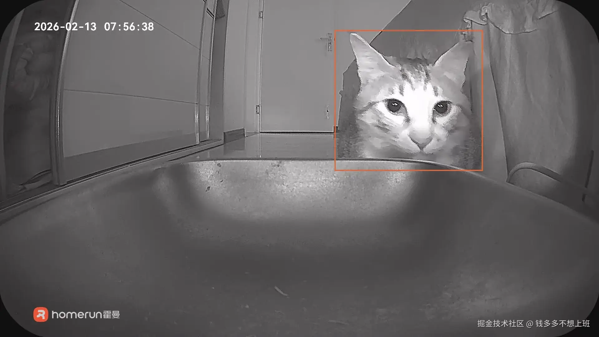 钱多多不想上班于2026-03-03 11:31发布的图片