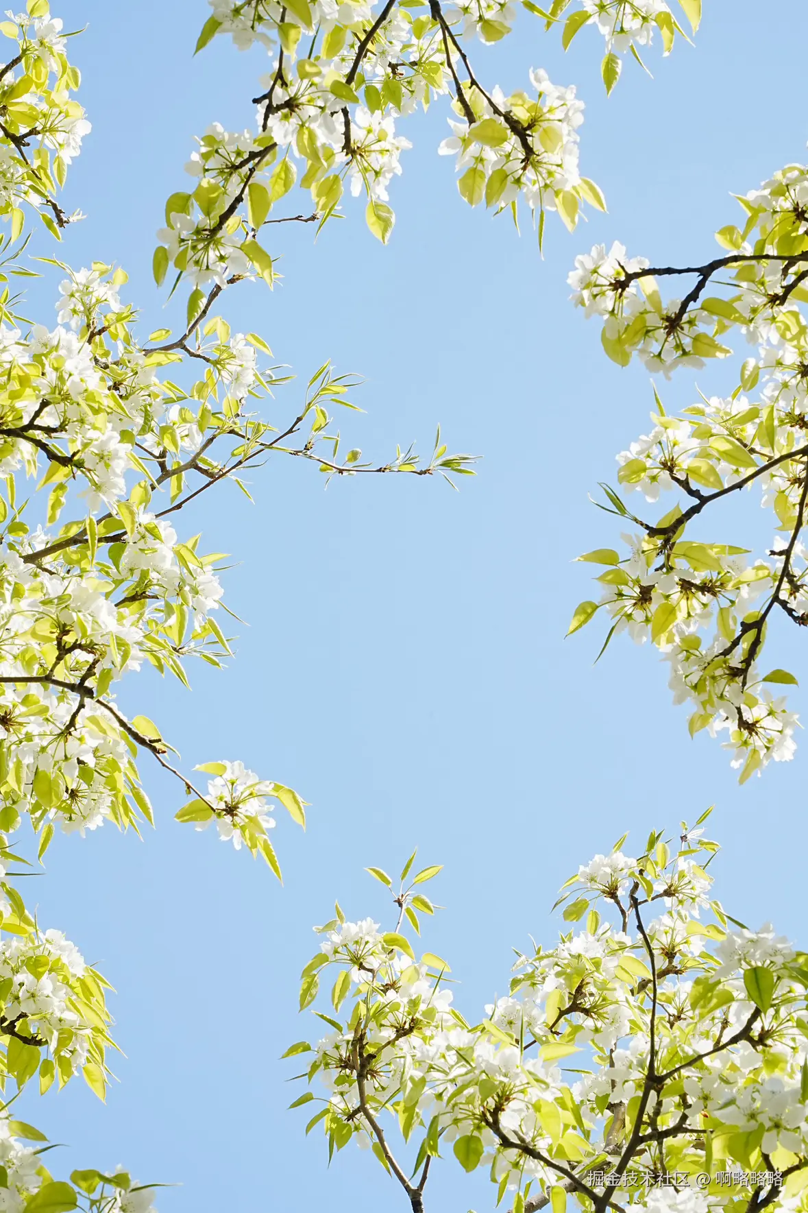 啊略略略于2025-04-02 14:21发布的图片