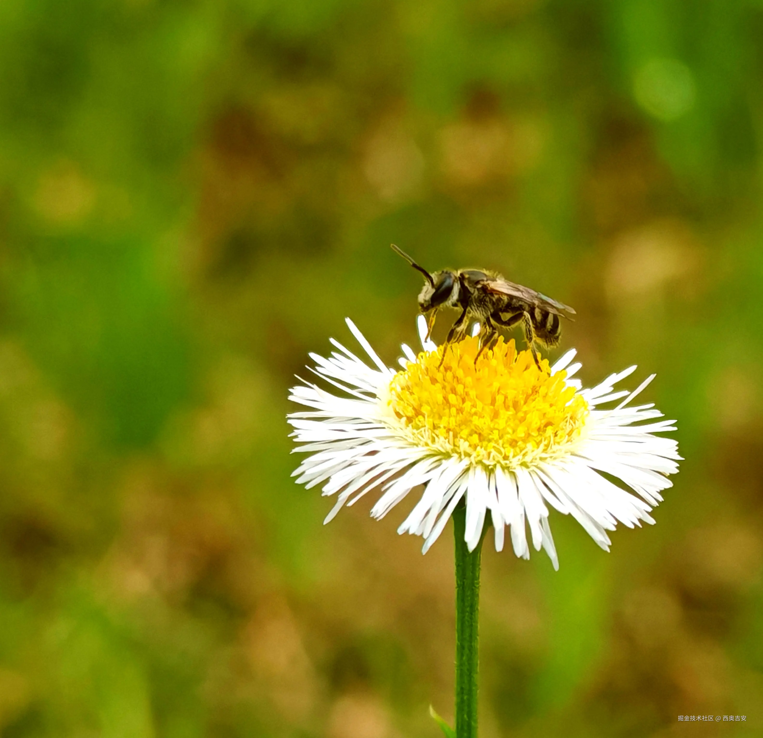西奥吉安于2025-06-24 12:38发布的图片