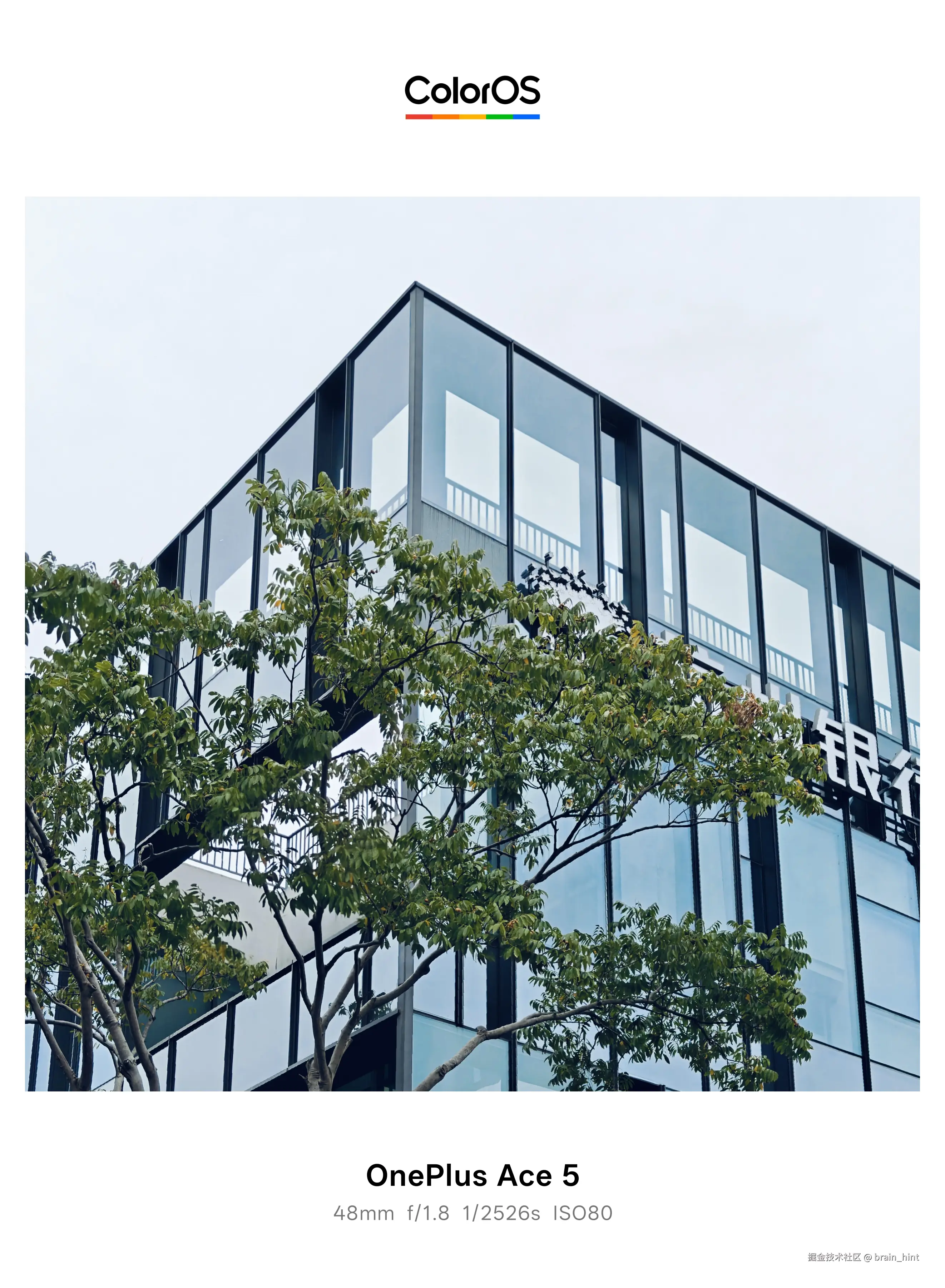 brain_hint于2025-11-12 13:53发布的图片