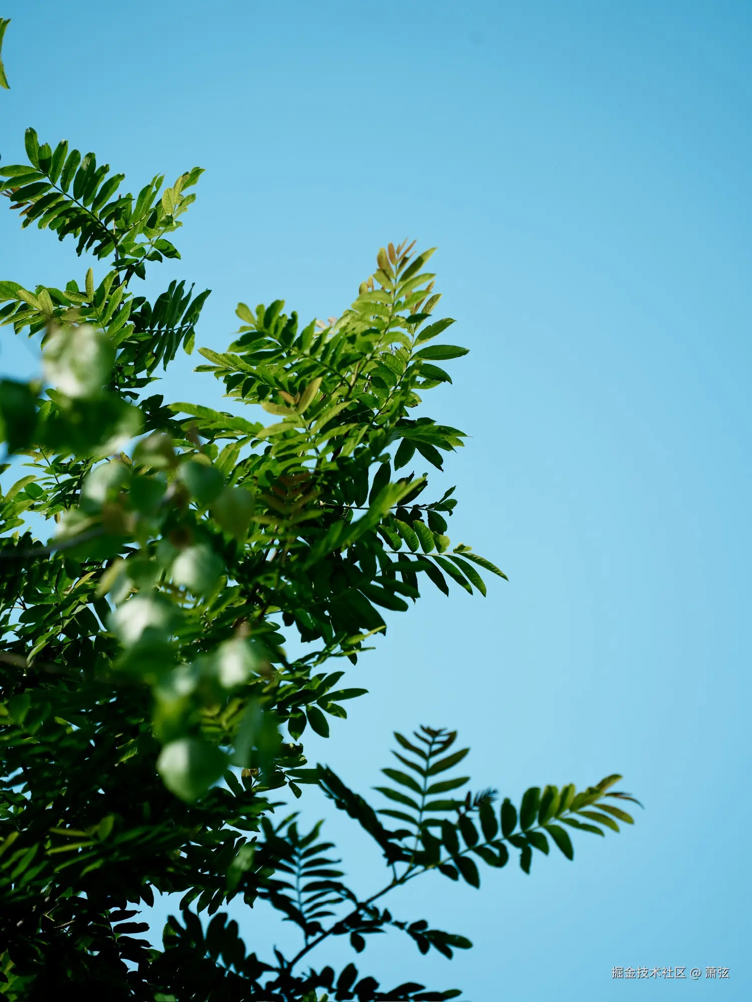 萧弦于2026-04-26 10:06发布的图片