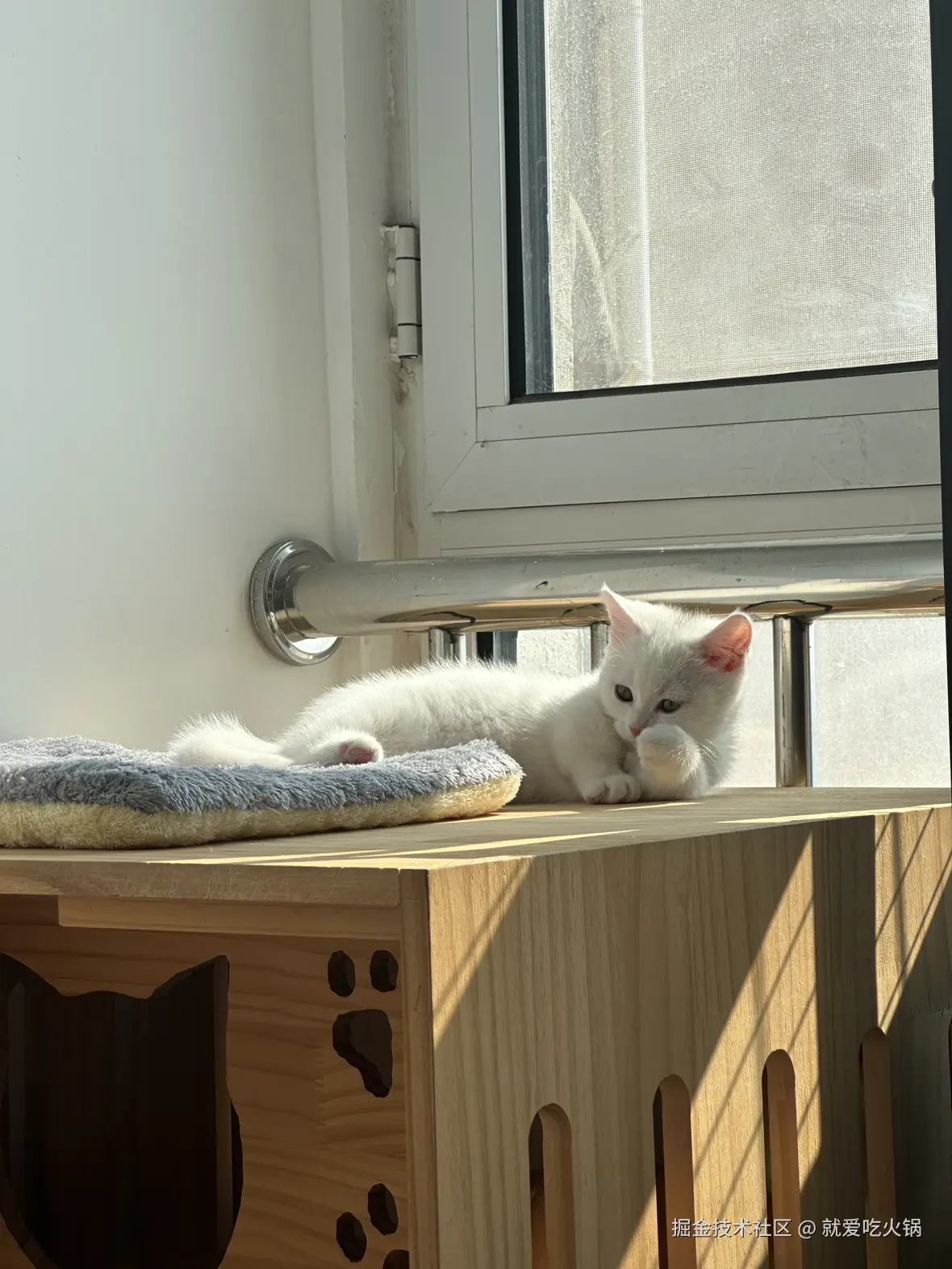 就爱吃火锅于2025-03-10 09:39发布的图片