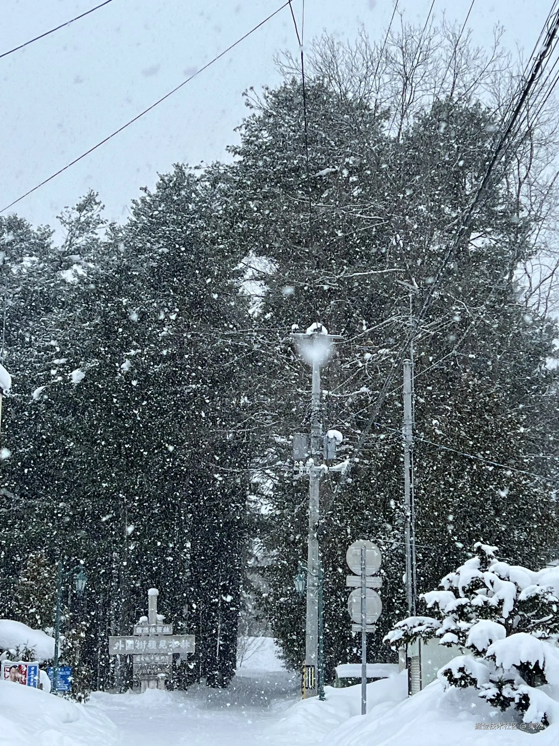 栗然于2026-02-28 09:55发布的图片