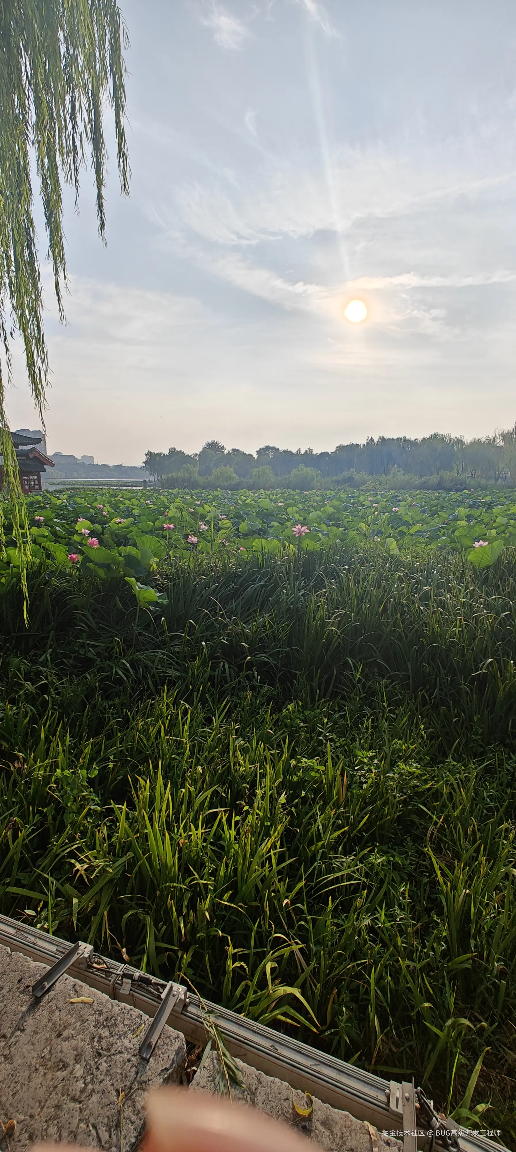 BUG高级开发工程师于2025-07-21 10:17发布的图片