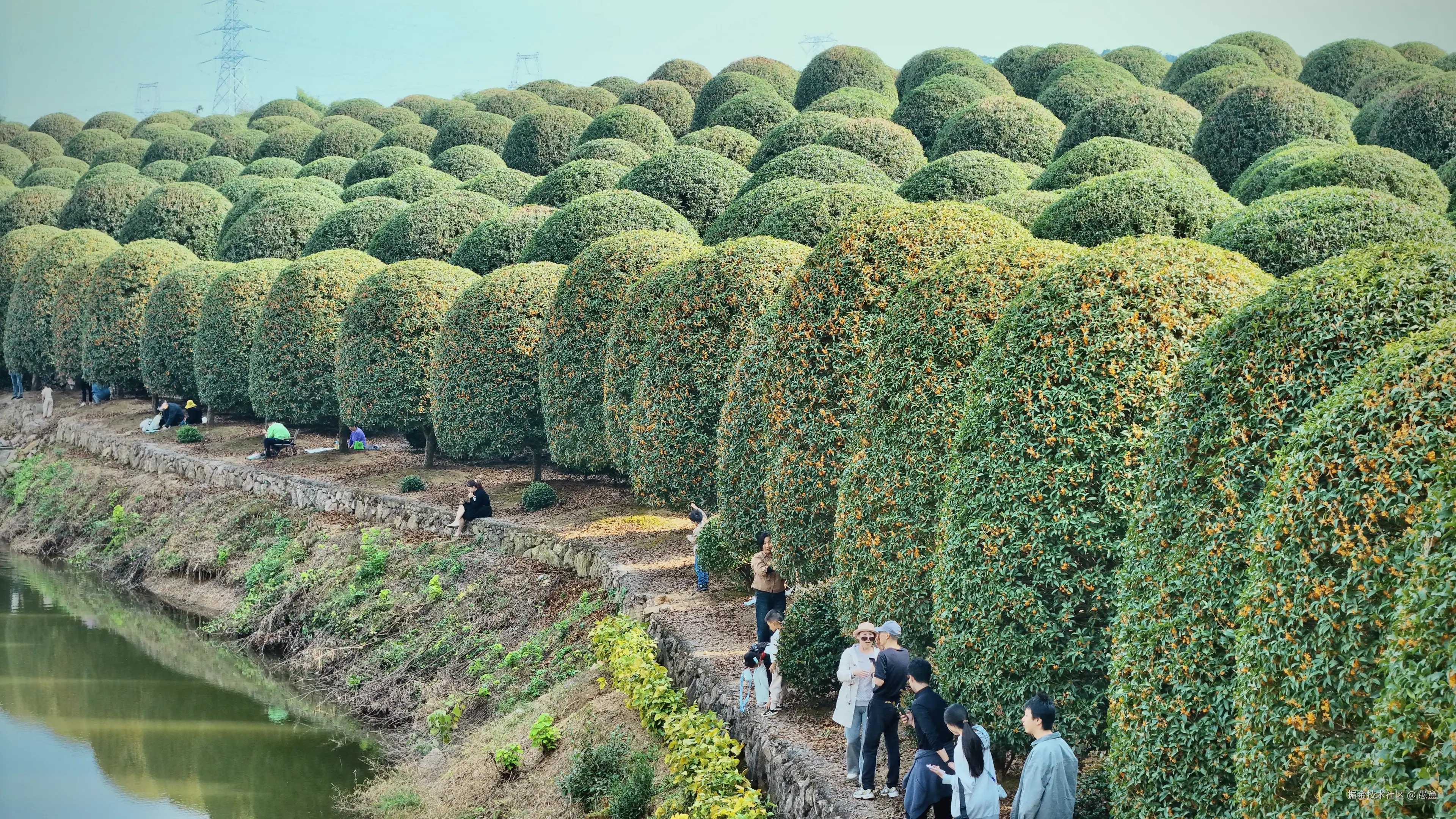 愚盦于2025-10-27 16:02发布的图片