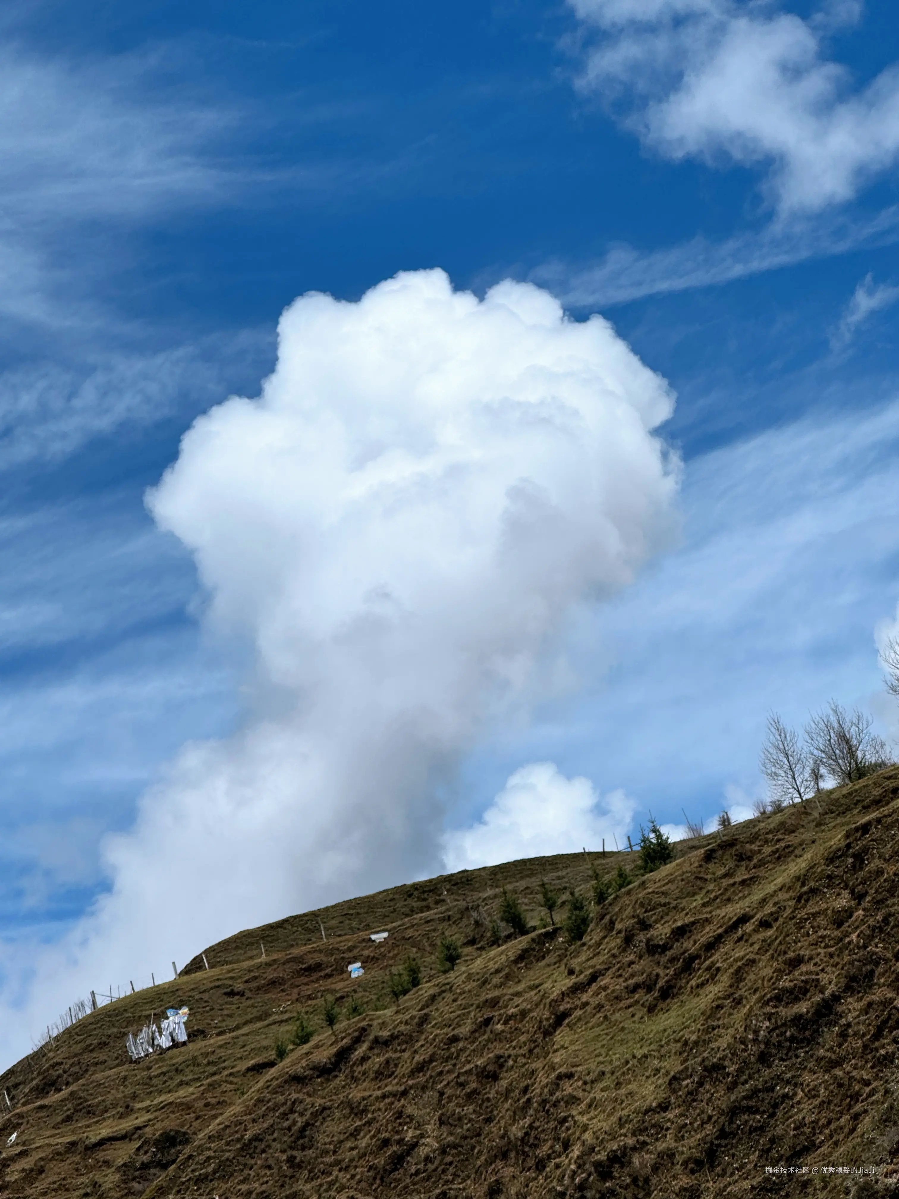 优秀稳妥的JiaJi于2025-05-06 16:33发布的图片