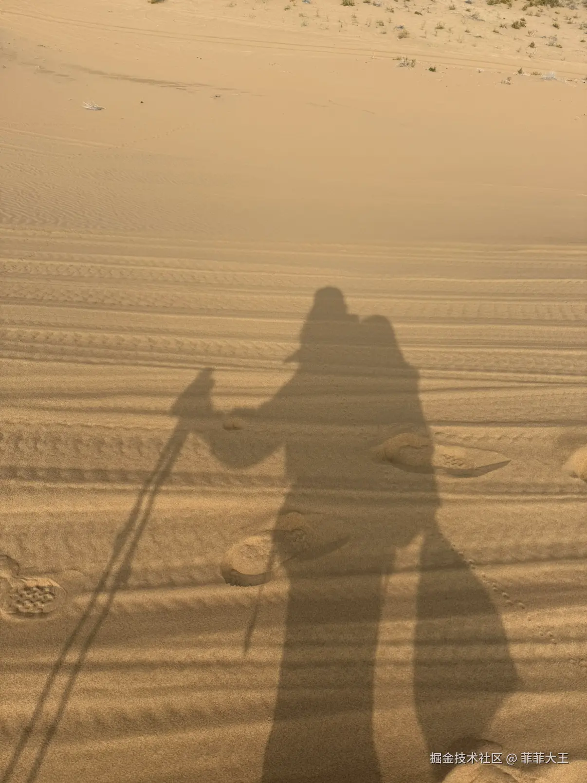 菲菲大王于2025-10-27 13:51发布的图片